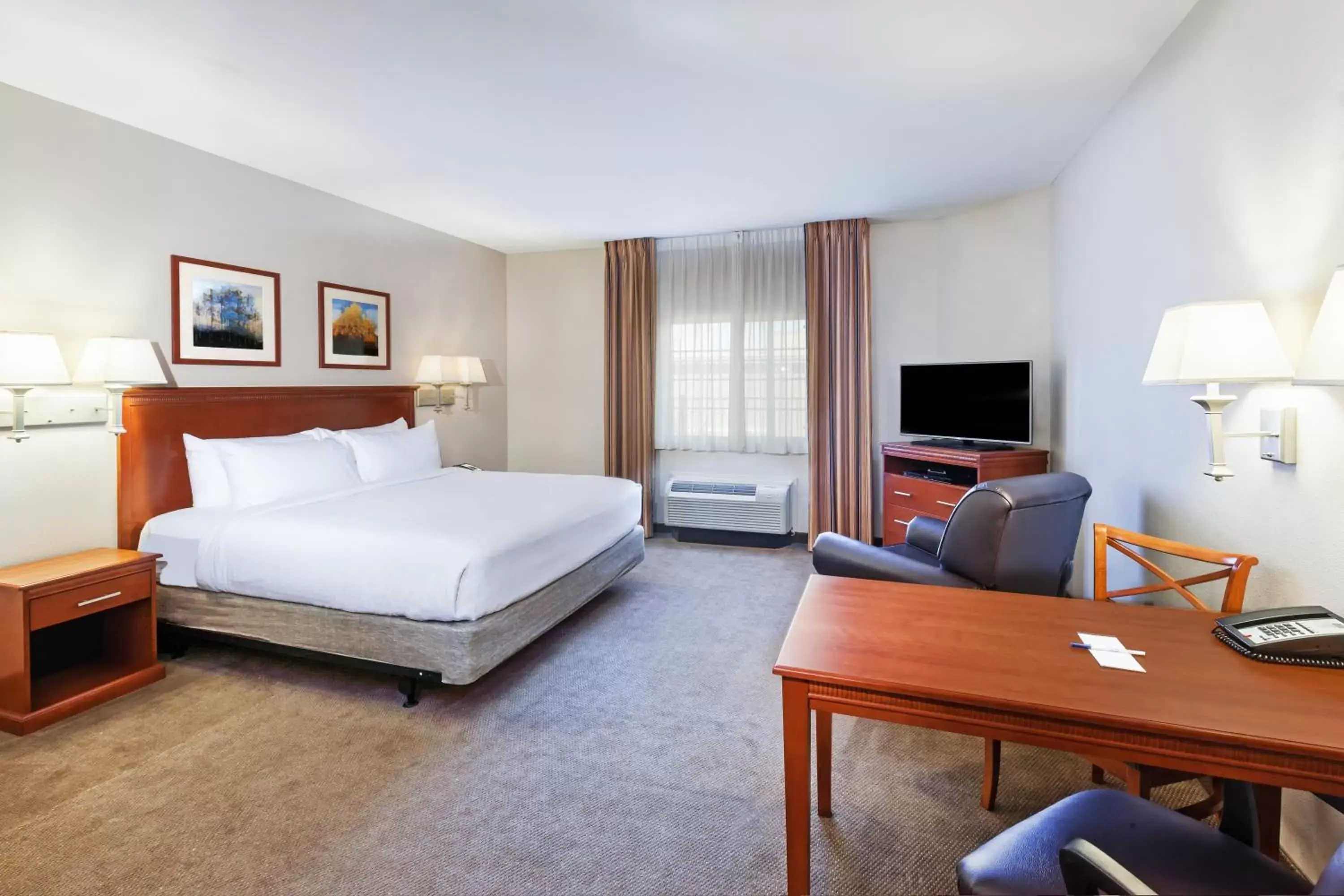 Photo of the whole room, Bed in Candlewood Suites El Paso by IHG Photo of the whole room, Bed in Candlewood Suites El Paso by IHG