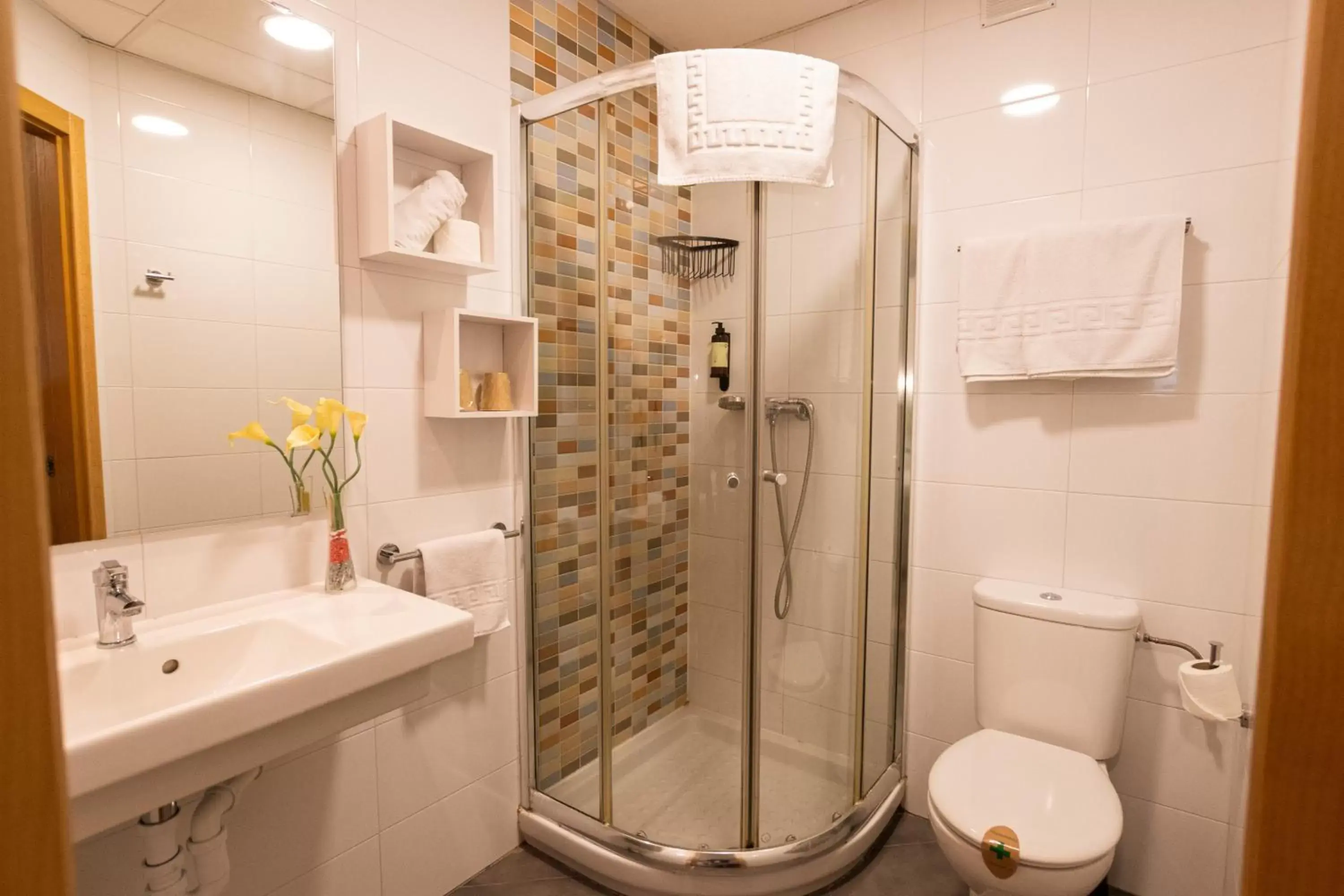 Shower, Bathroom in Gce Hoteles