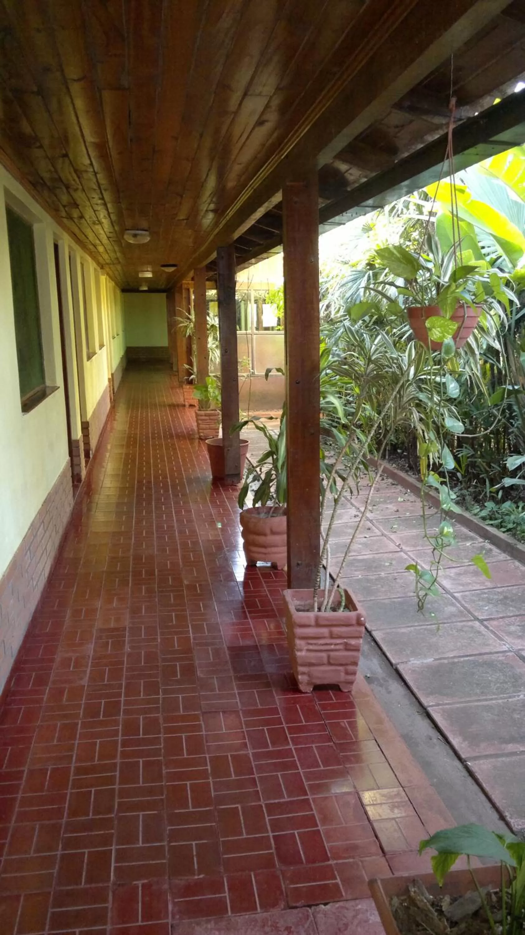 Patio in Hosteria Los Helechos