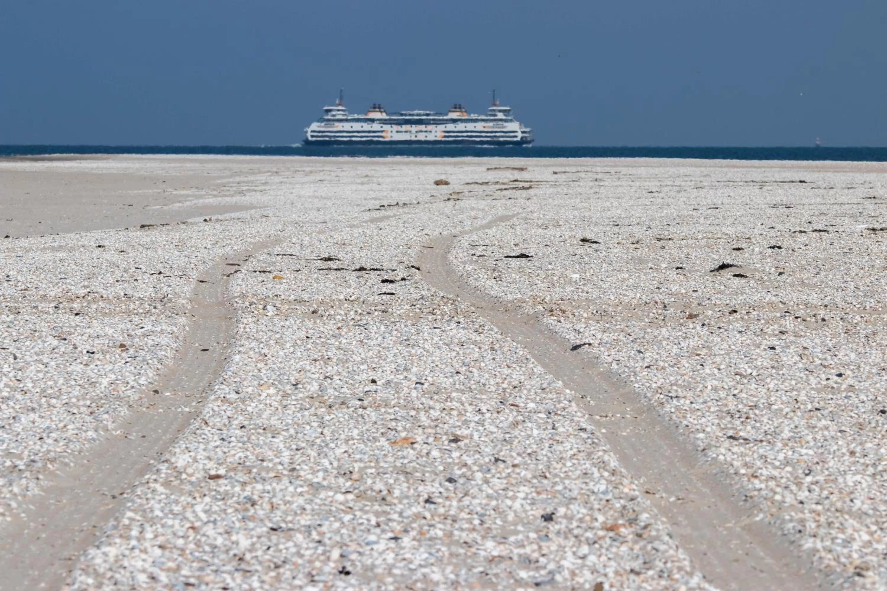 Natural landscape in Bed en Bike Strûnen op Texel
