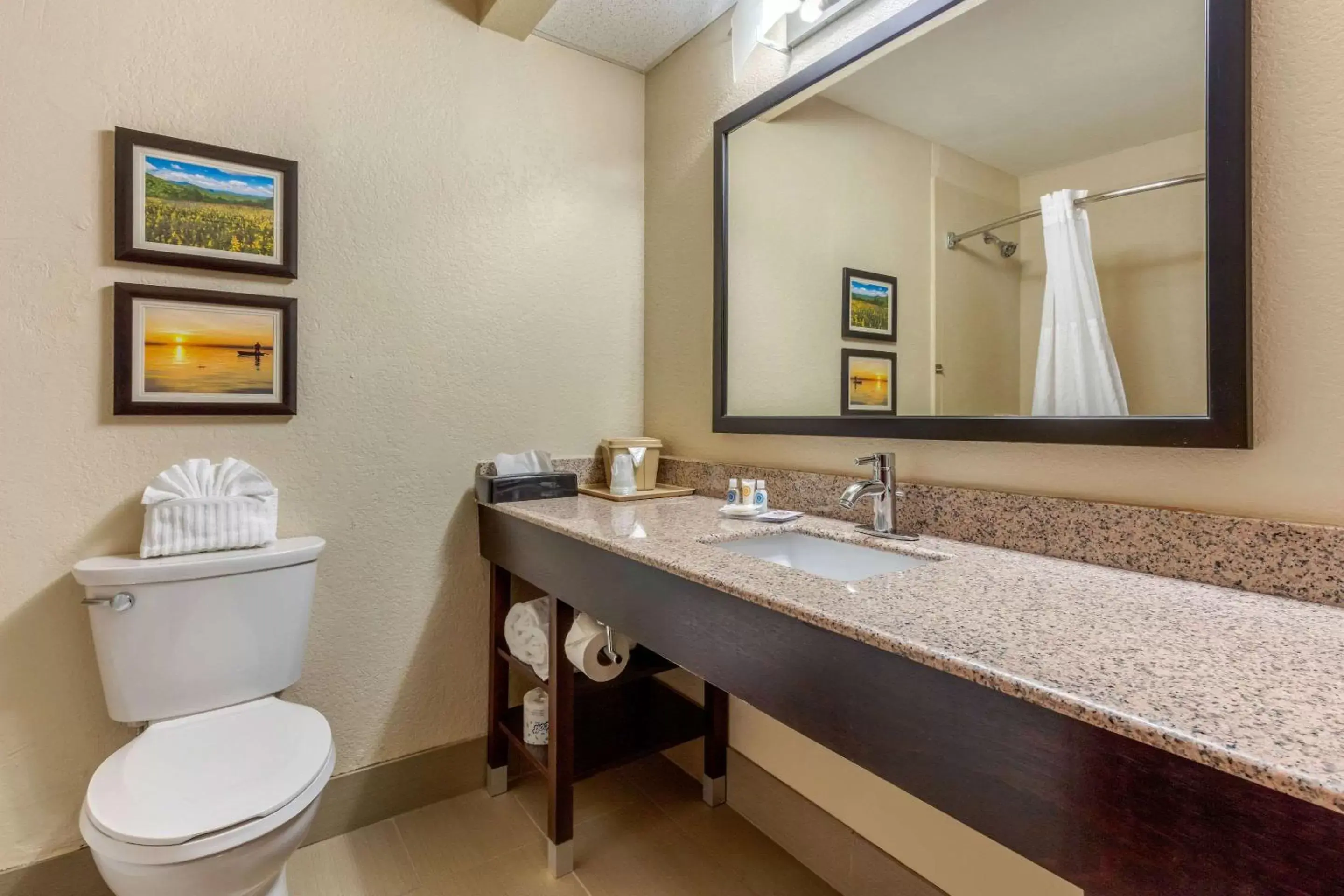 Bathroom in Comfort Inn Lenoir City