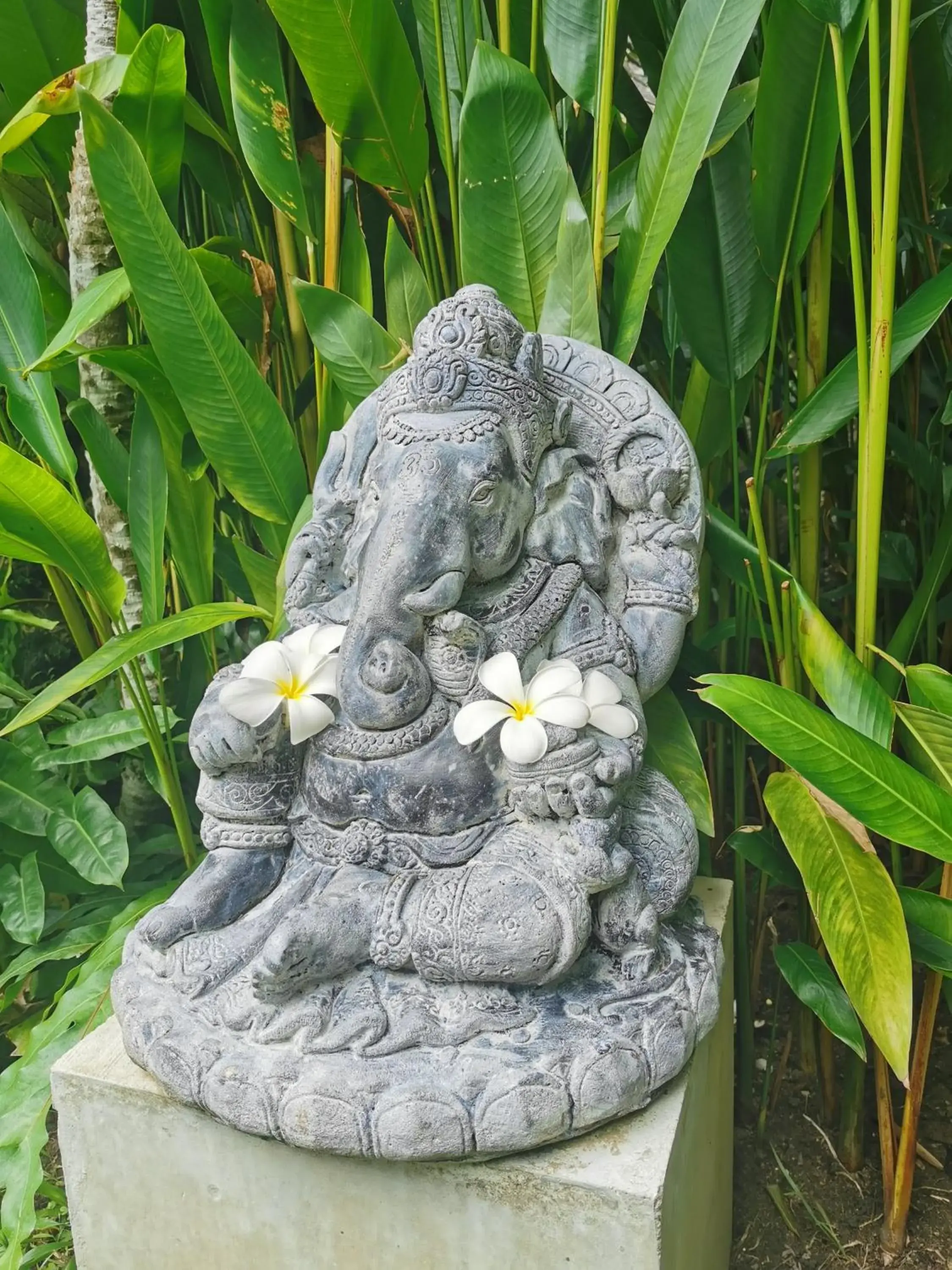 Garden in Baan Sukreep Resort