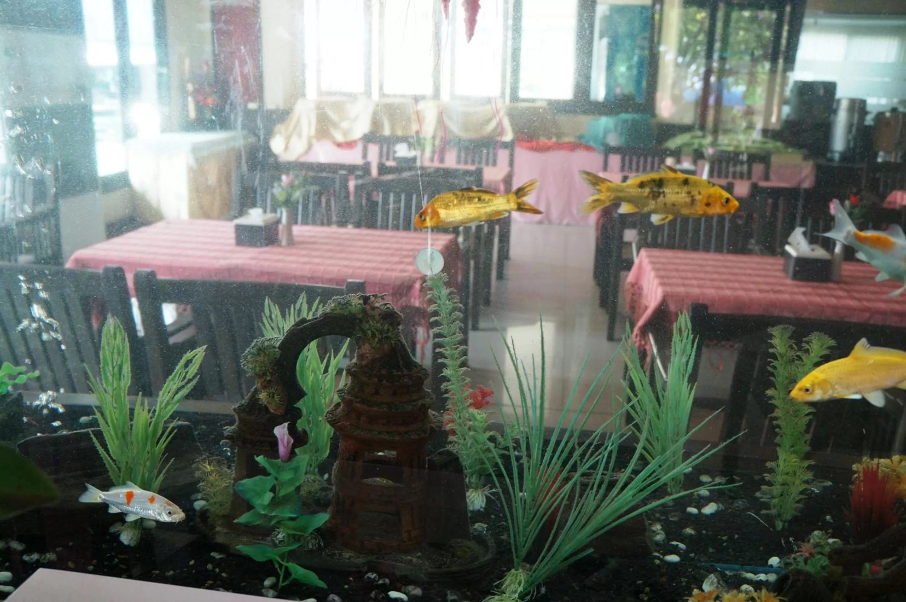 Patio in Noble Place Chiangmai