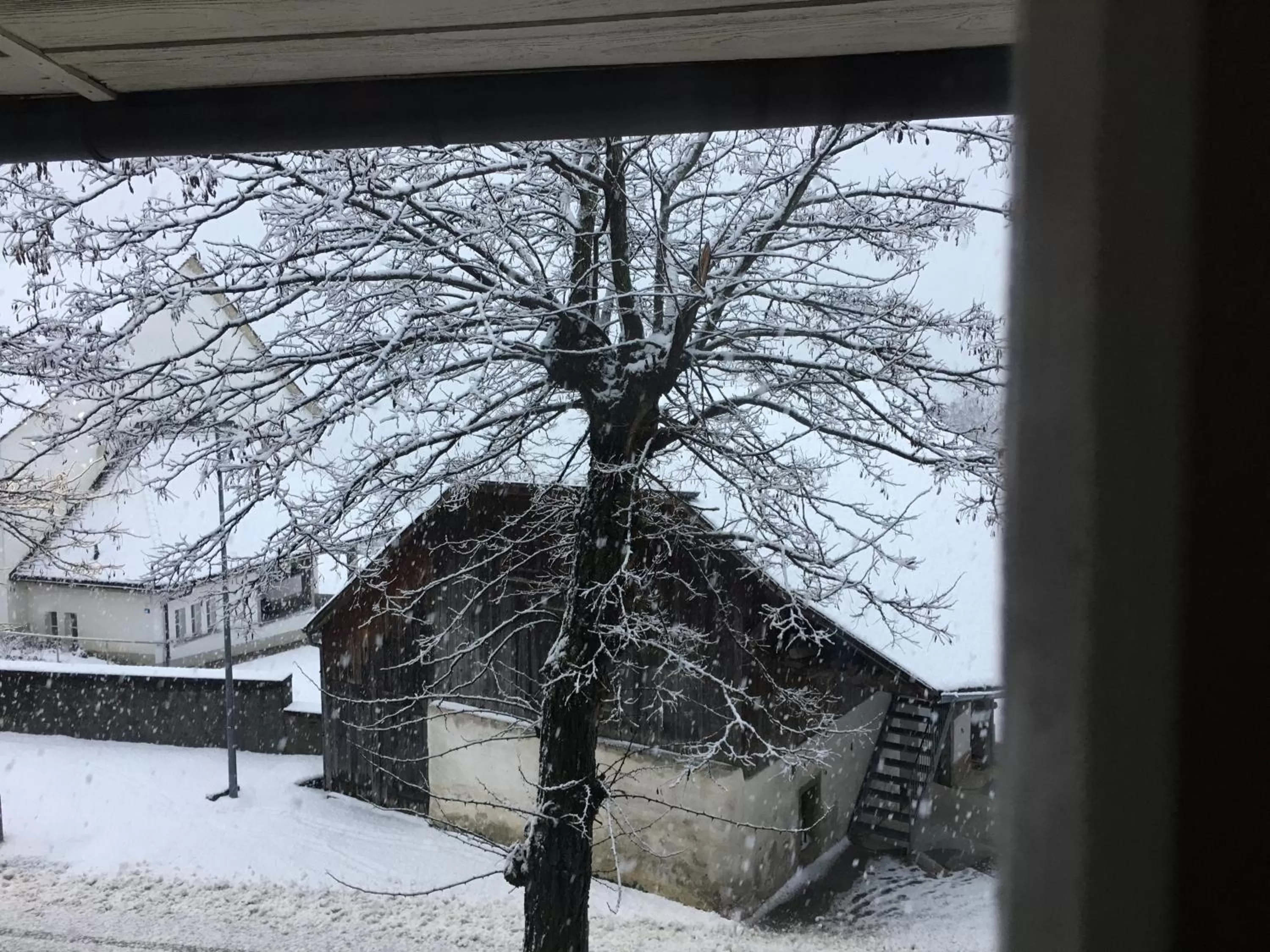 Winter in B&B Bären