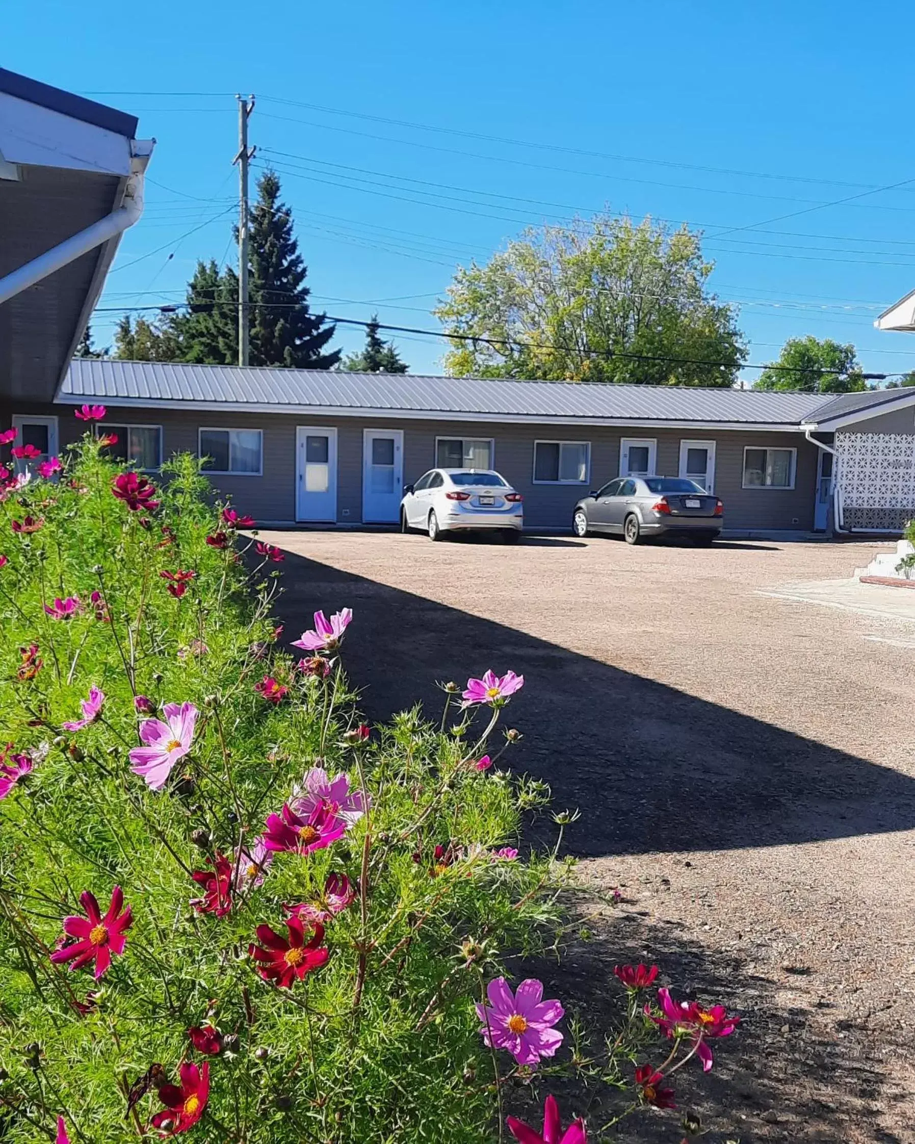 Property Building in Vista Motel