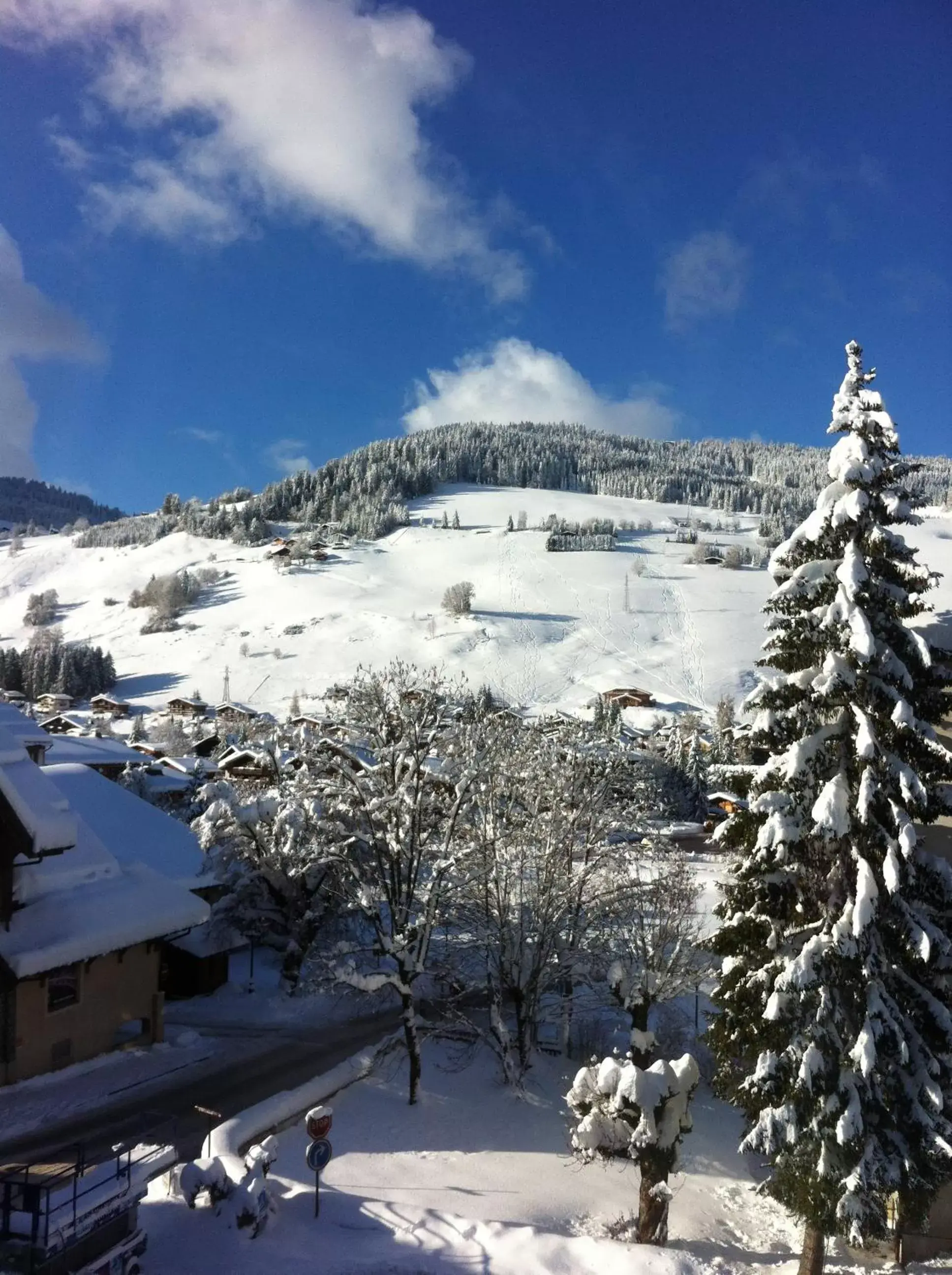 Mountain view, Winter in Hôtel La Grange d'Arly