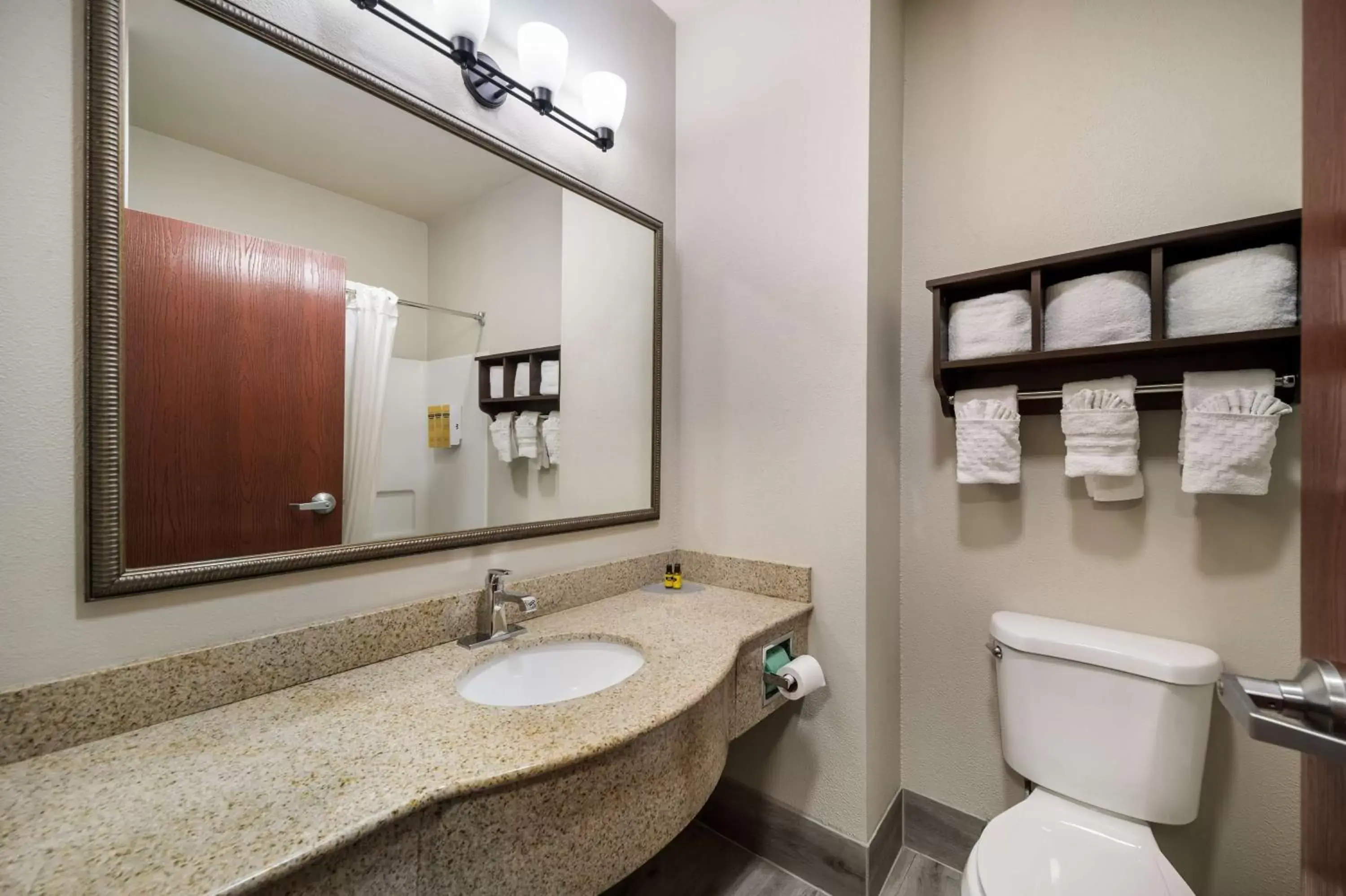 Bathroom in Best Western Plus Lake Dallas Inn & Suites