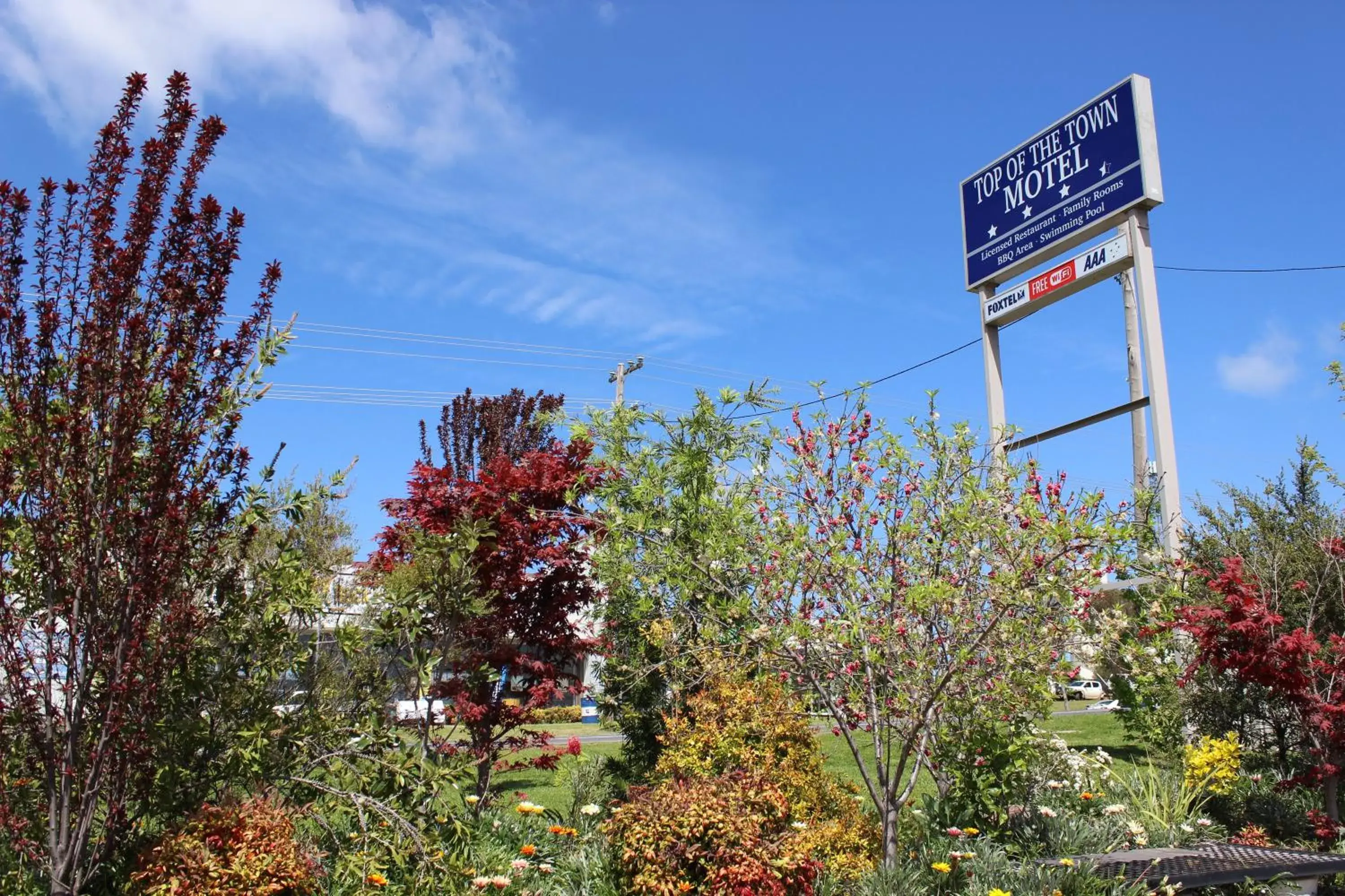 Garden in Top of the Town Motel