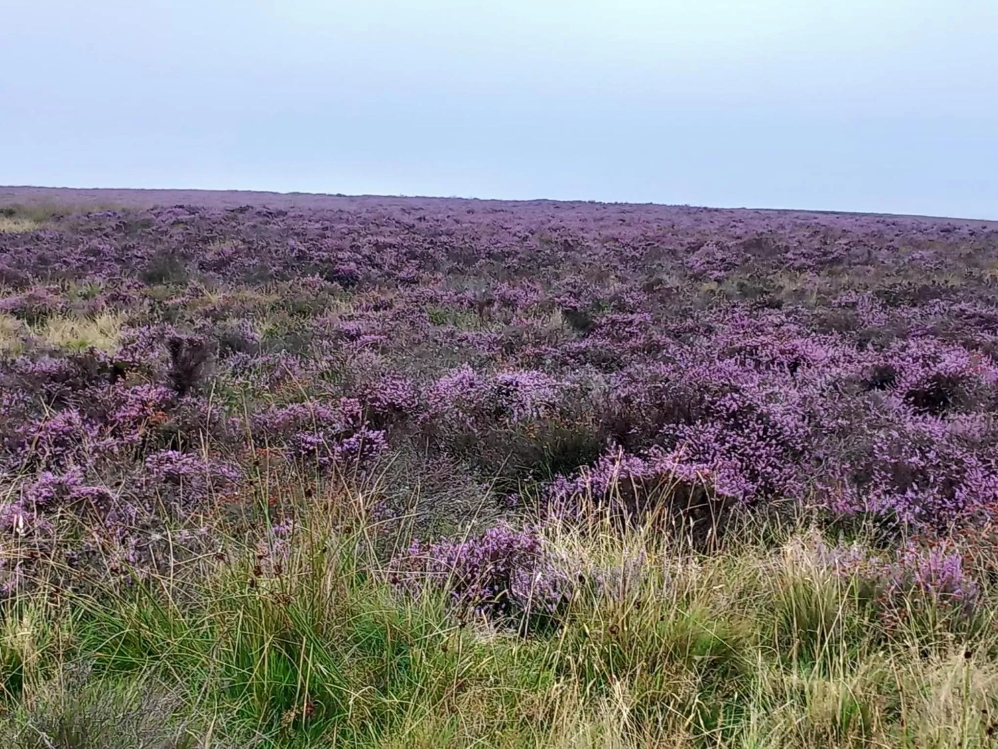 Nearby landmark in Littlebeck