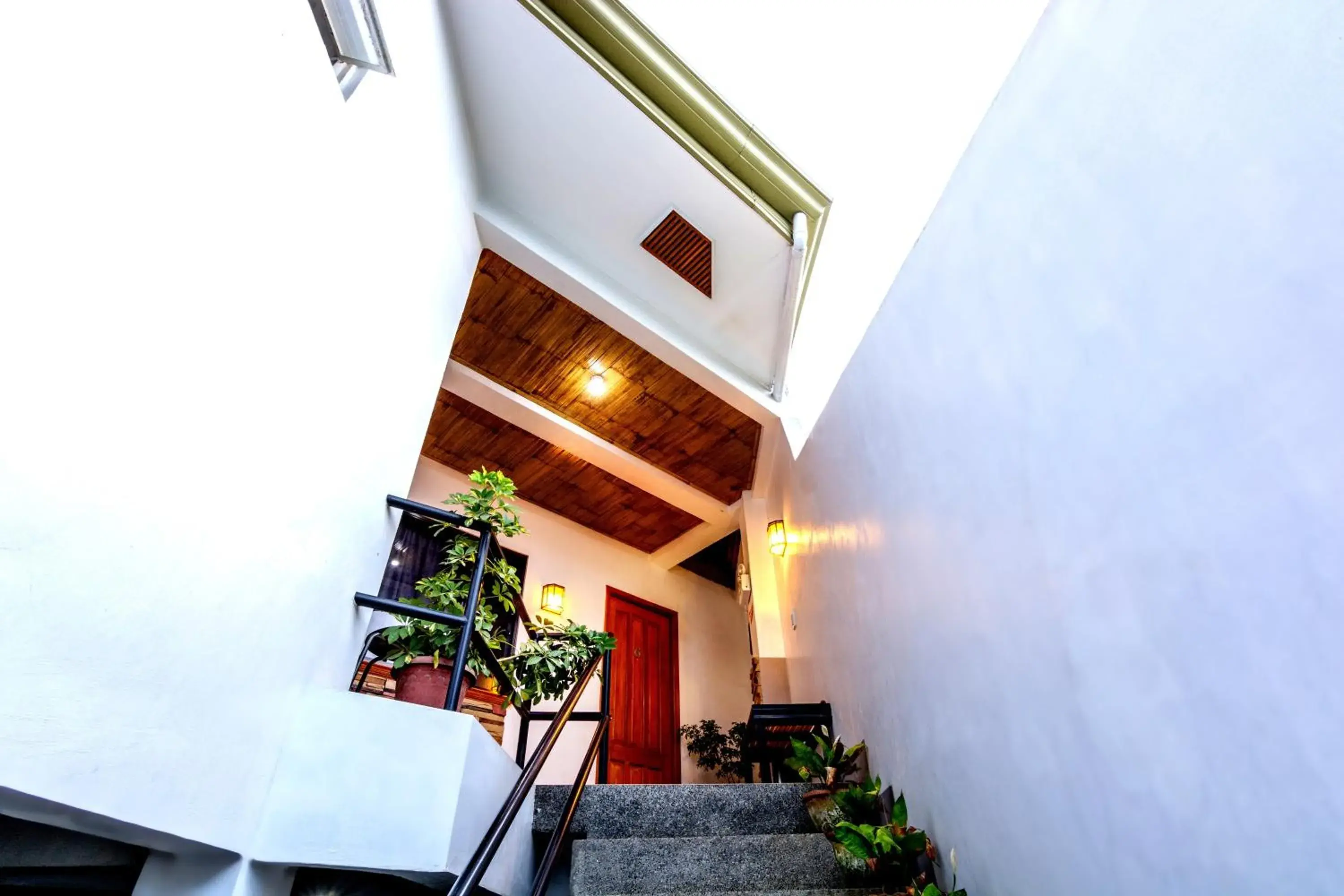 Balcony/Terrace in Papierus Pensionne