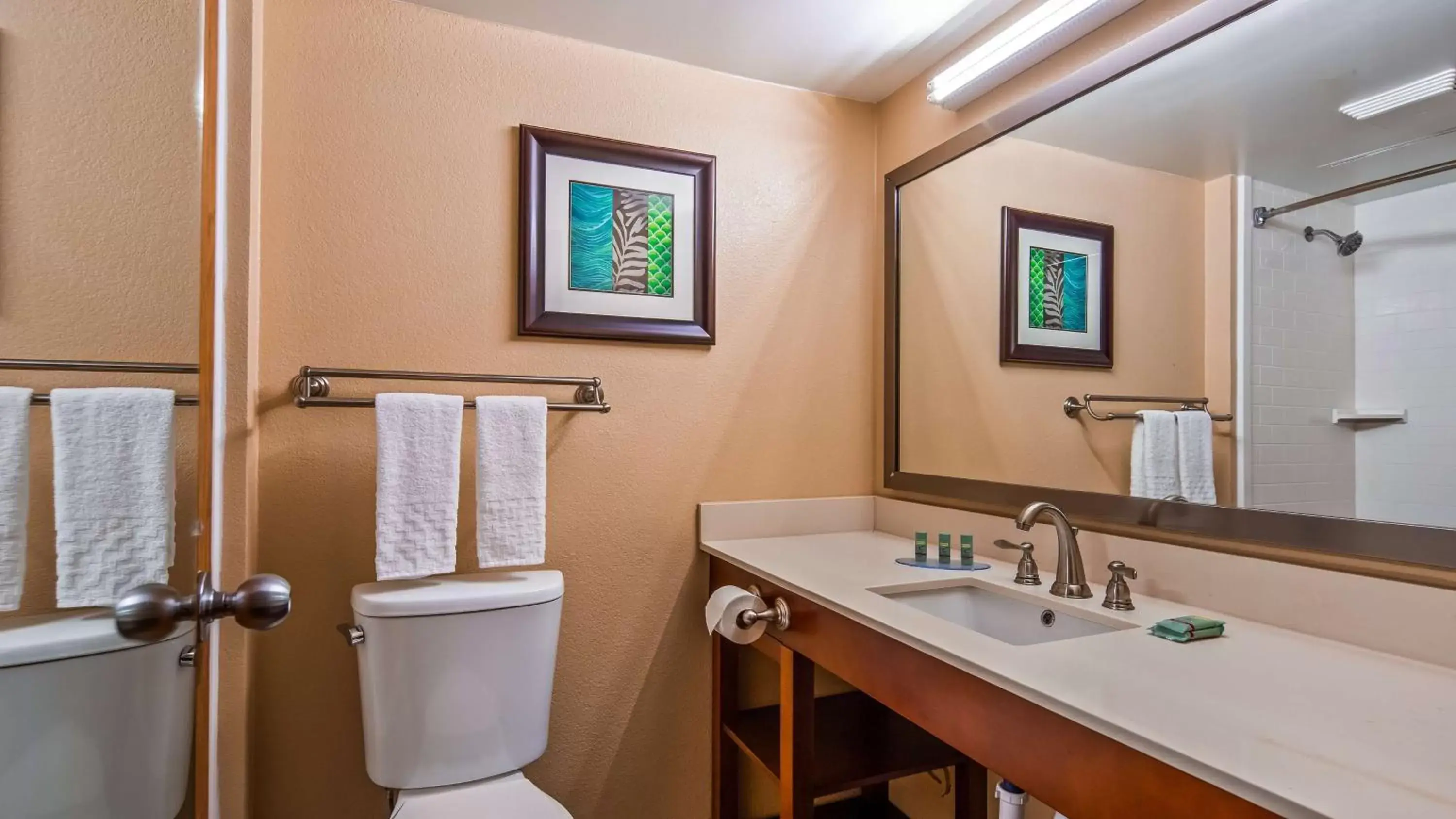 Bathroom in Best Western Warren Hotel