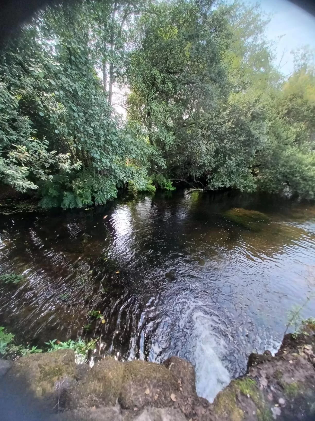 Nearby landmark, Lake View in Leonchic - Guest House