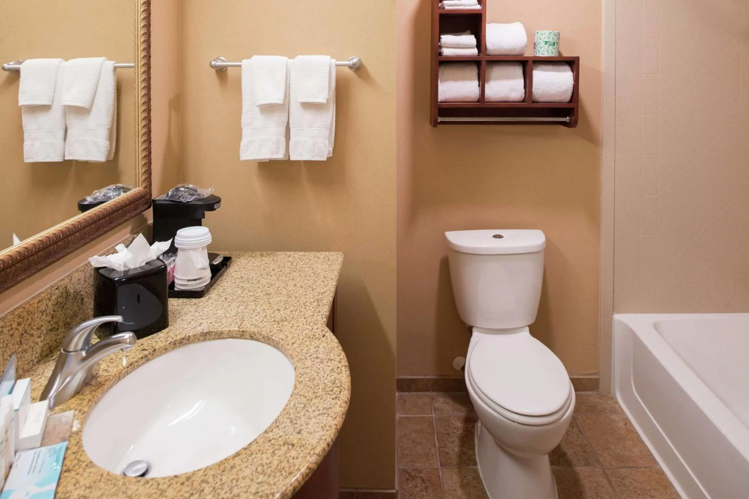 Bathroom in Hampton Inn & Suites Rifle