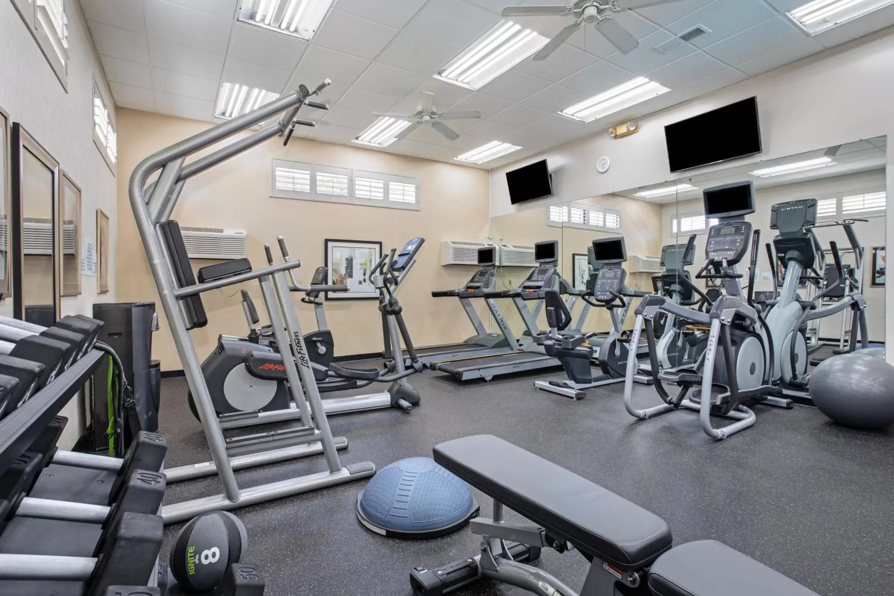 Fitness centre/facilities, Fitness Center/Facilities in Holiday Inn Los Angeles - LAX Airport, an IHG Hotel