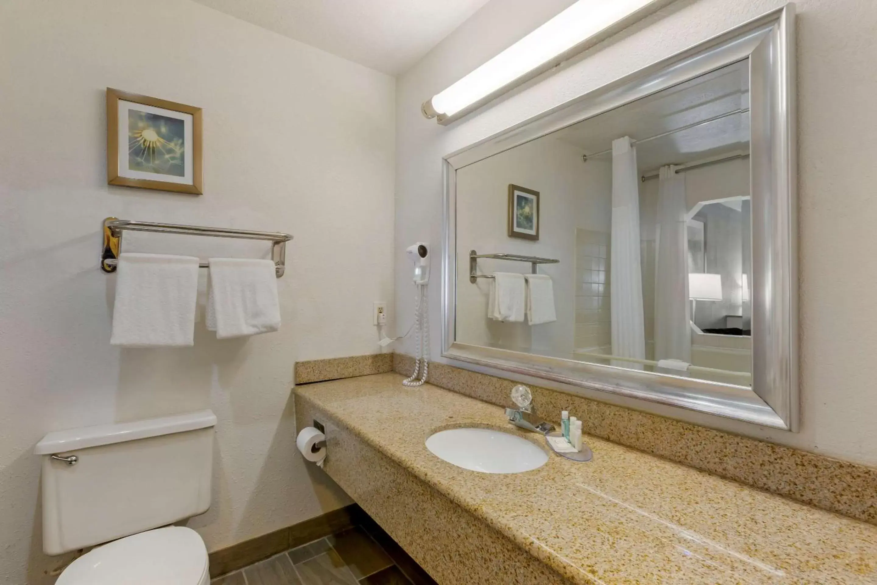 Bedroom, Bathroom in Quality Inn Alexis Rd