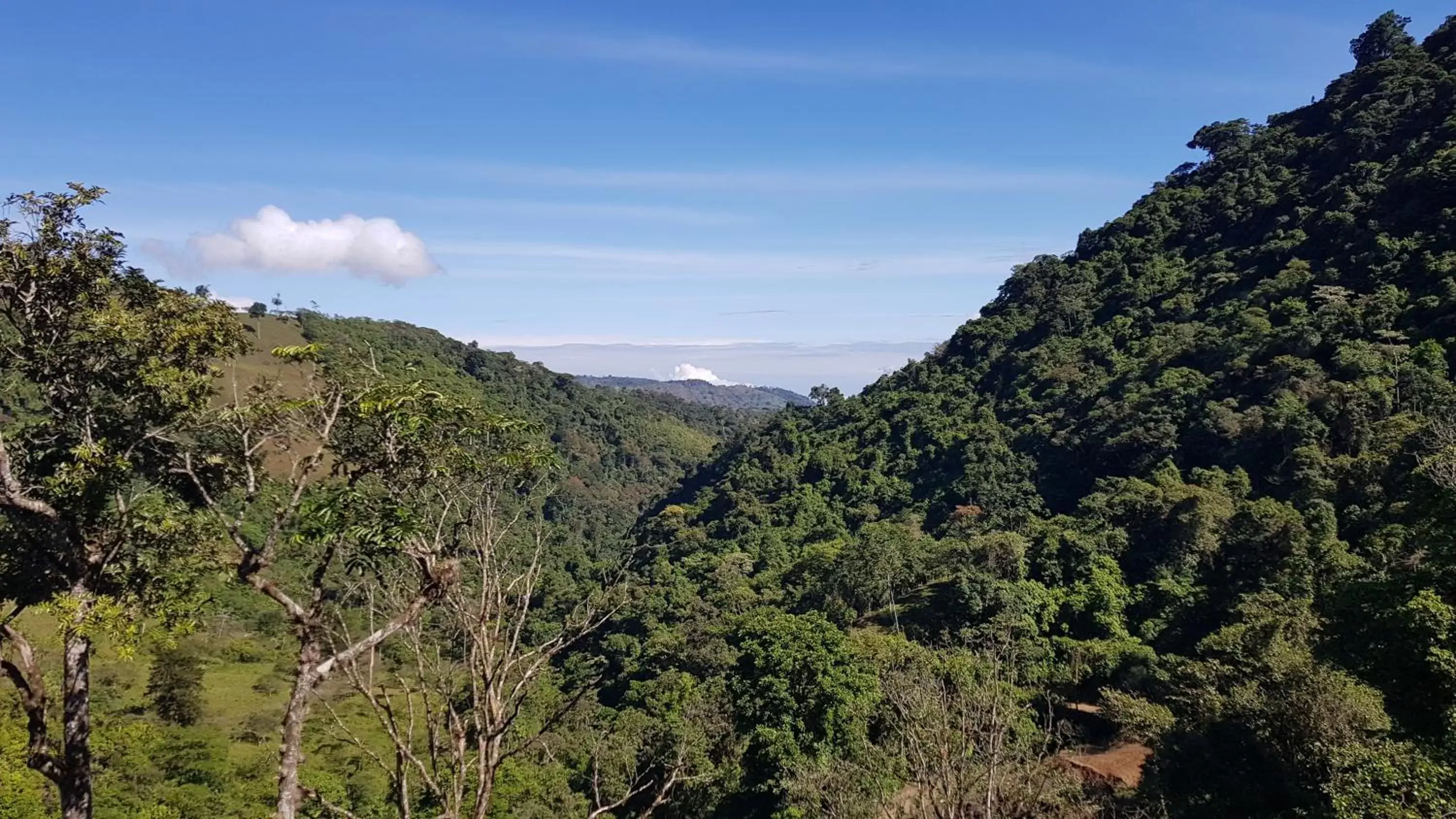 View (from property/room) in Hotel Rivel - Adventure & Nature Retreat