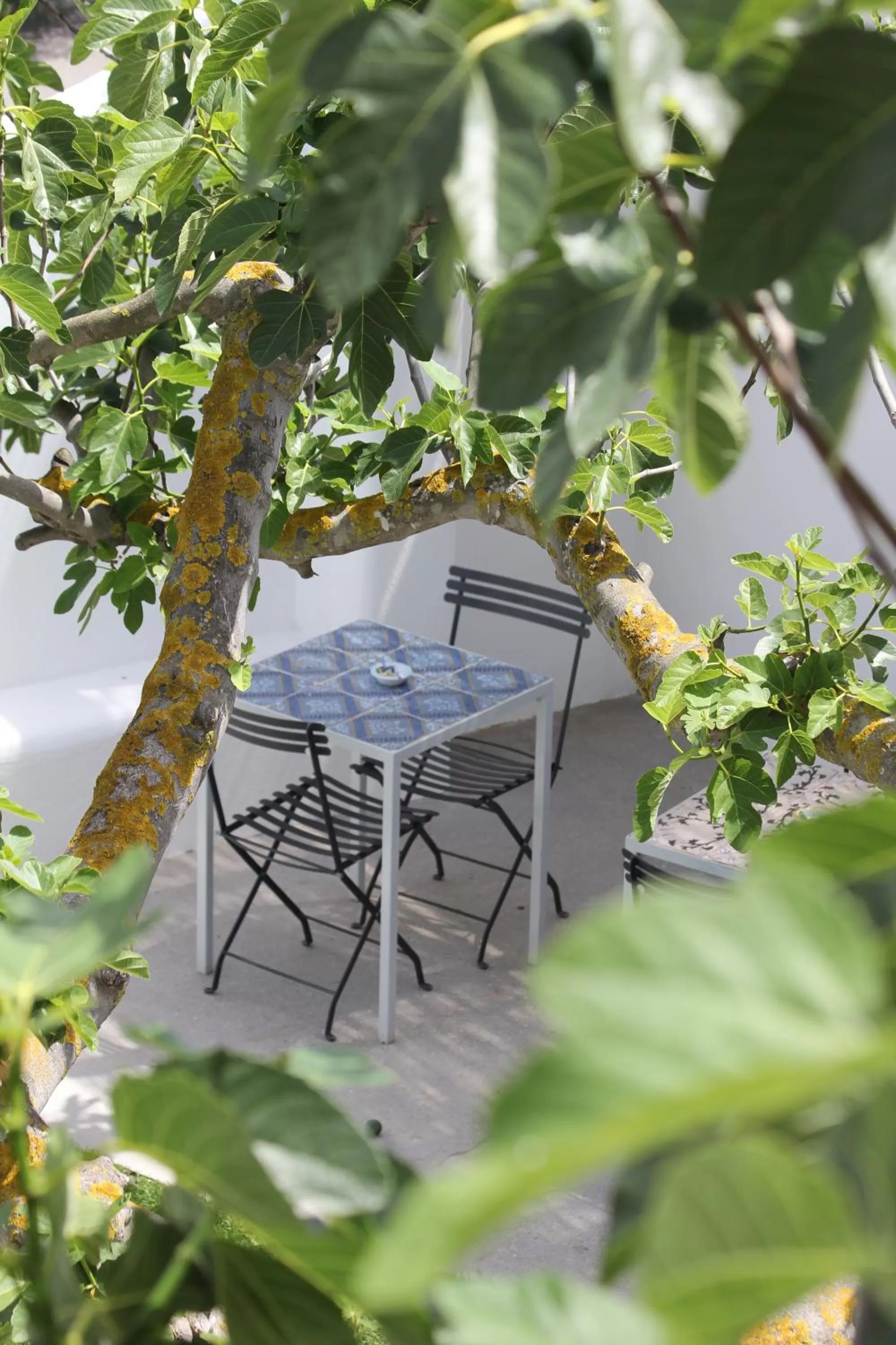 Patio in Hotel Intorno Al Fico