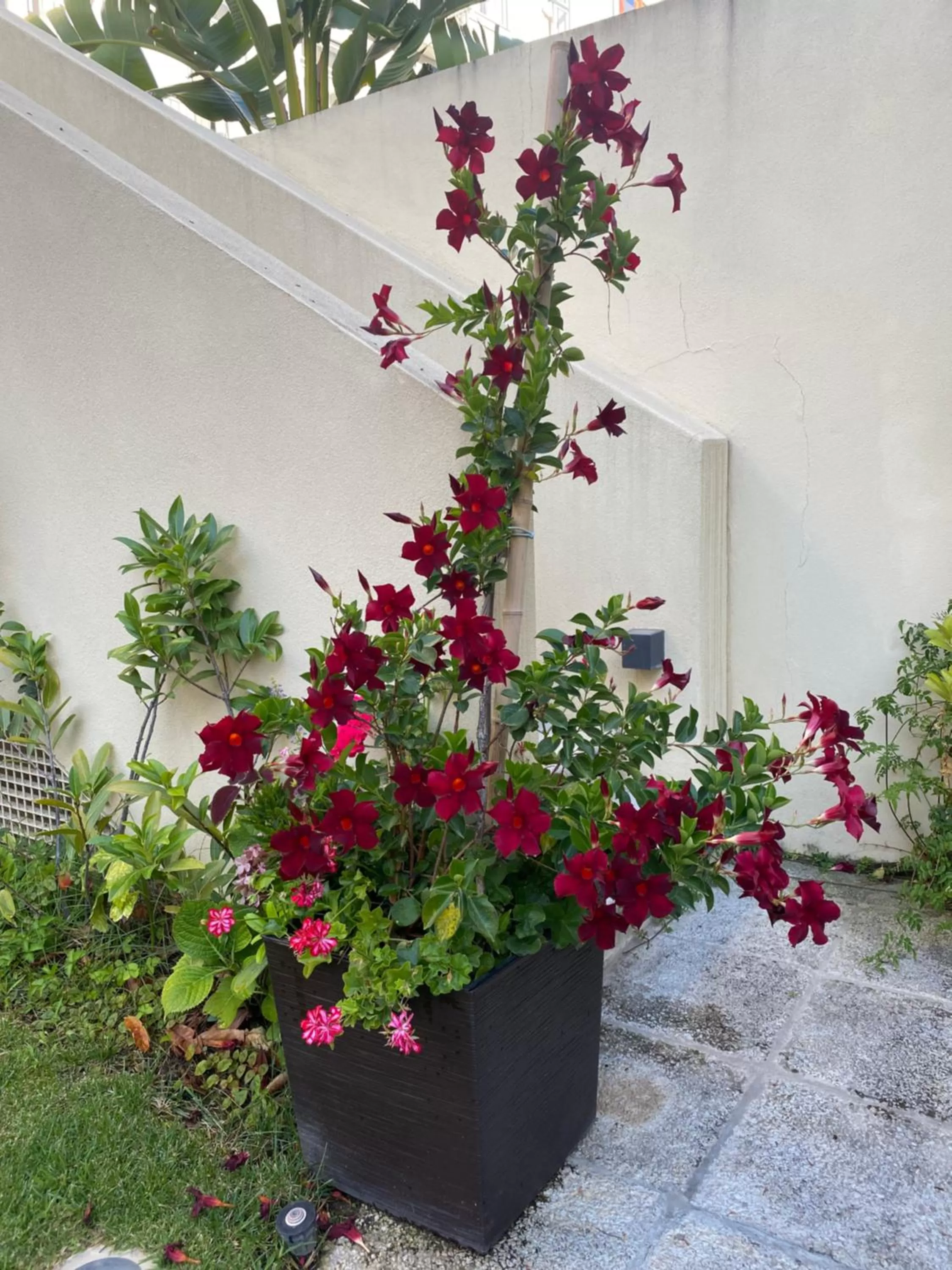 TM Luxury Apartments Lisbon