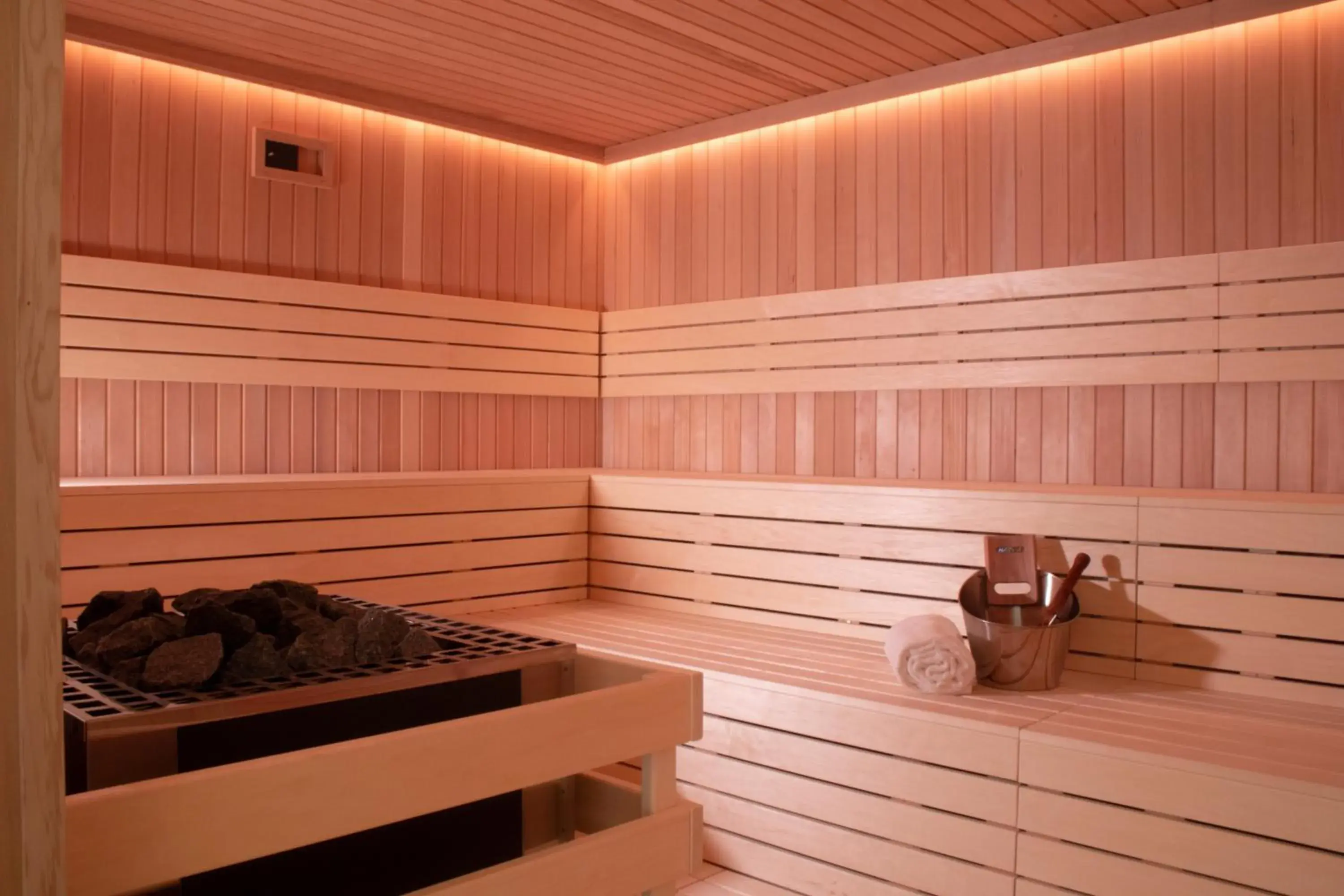 Sauna in Parkhotel De Wiemsel