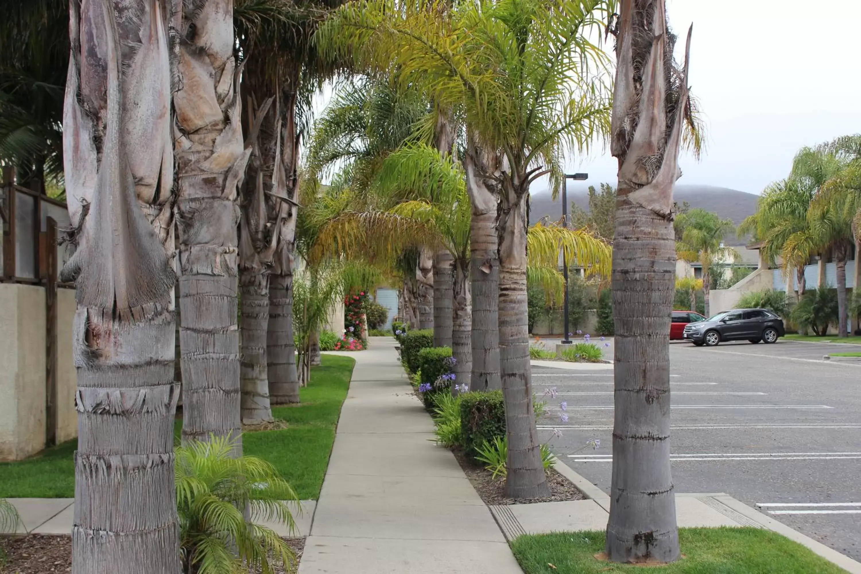 Property building, Garden in O'Cairns Inn and Suites