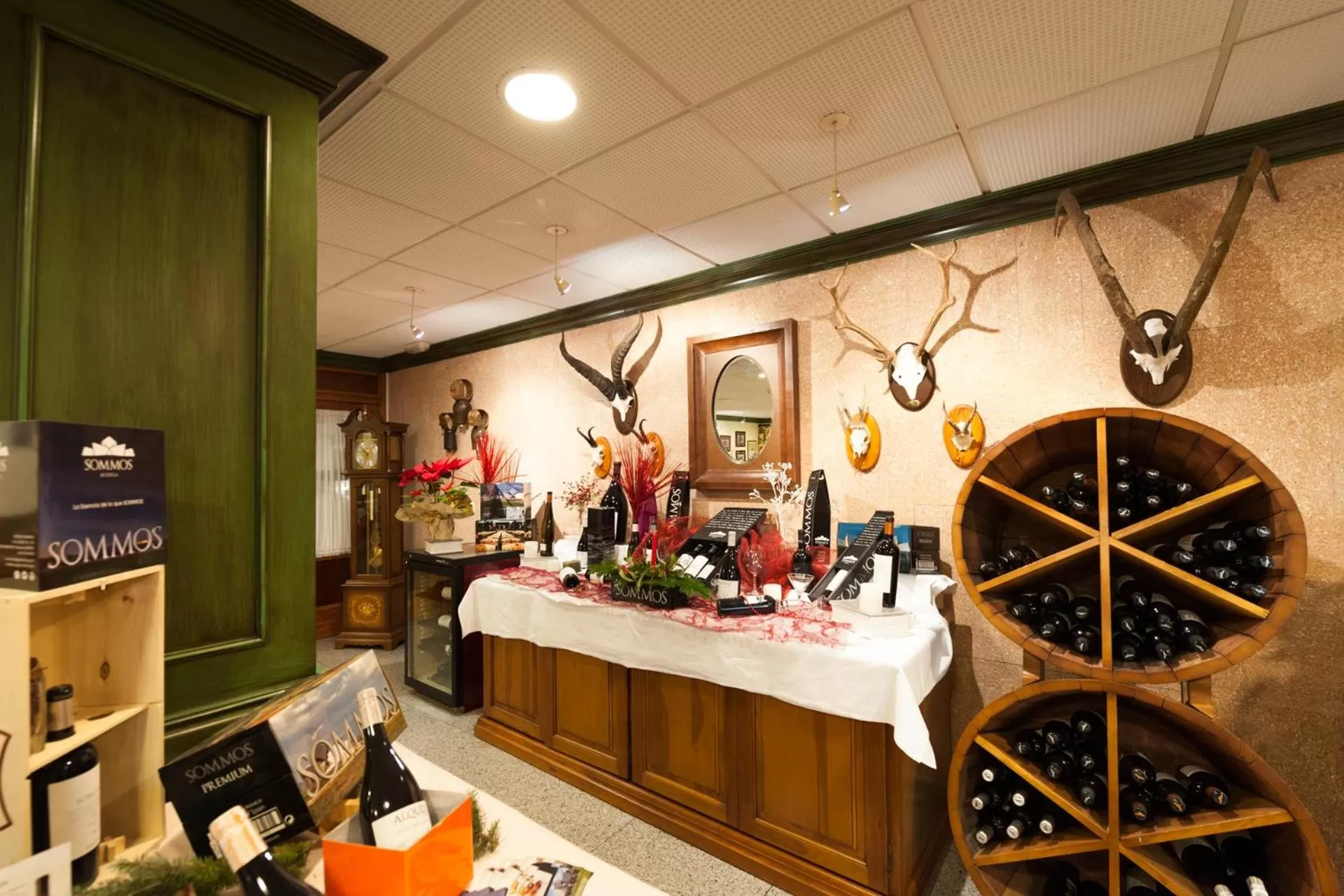 Activities in SOMMOS Hotel Benasque Spa