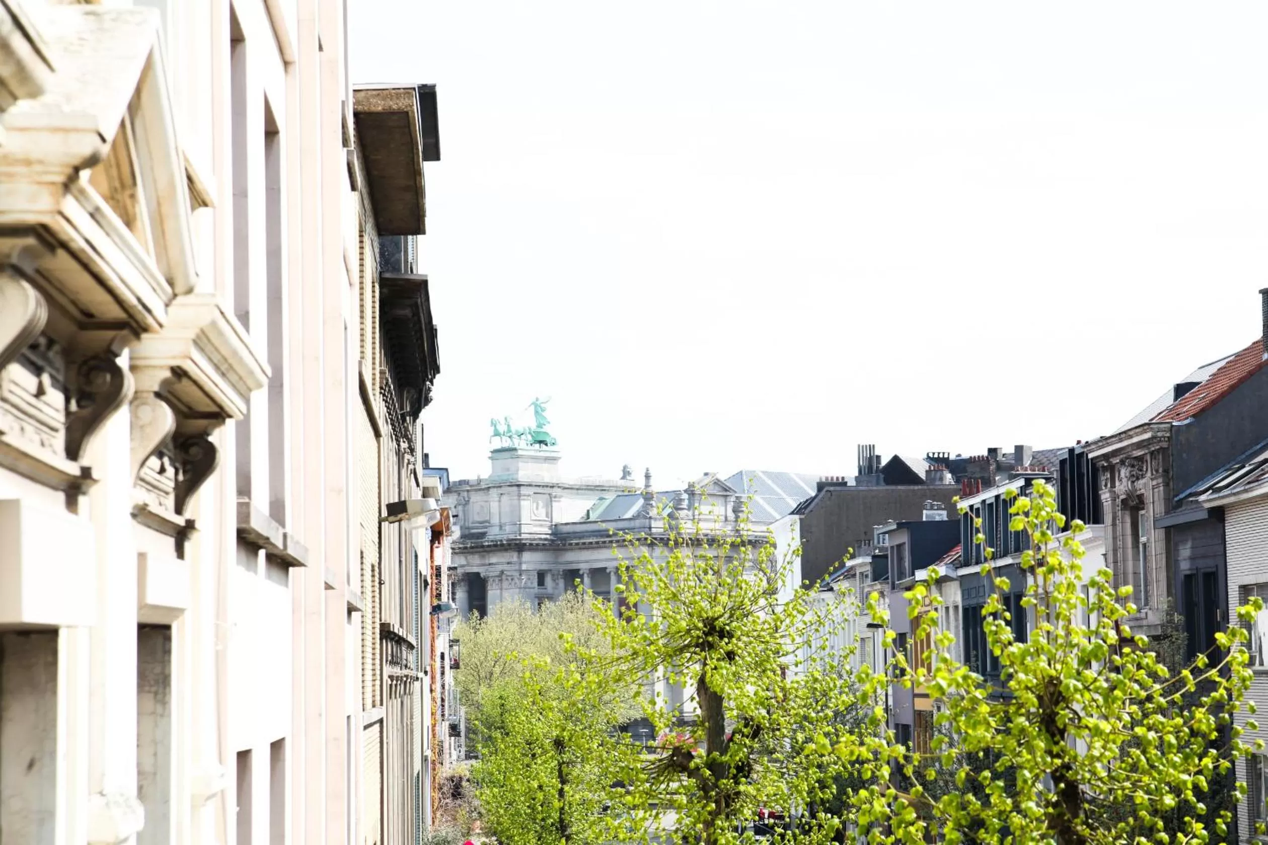 Neighbourhood in Because the Night city lodge