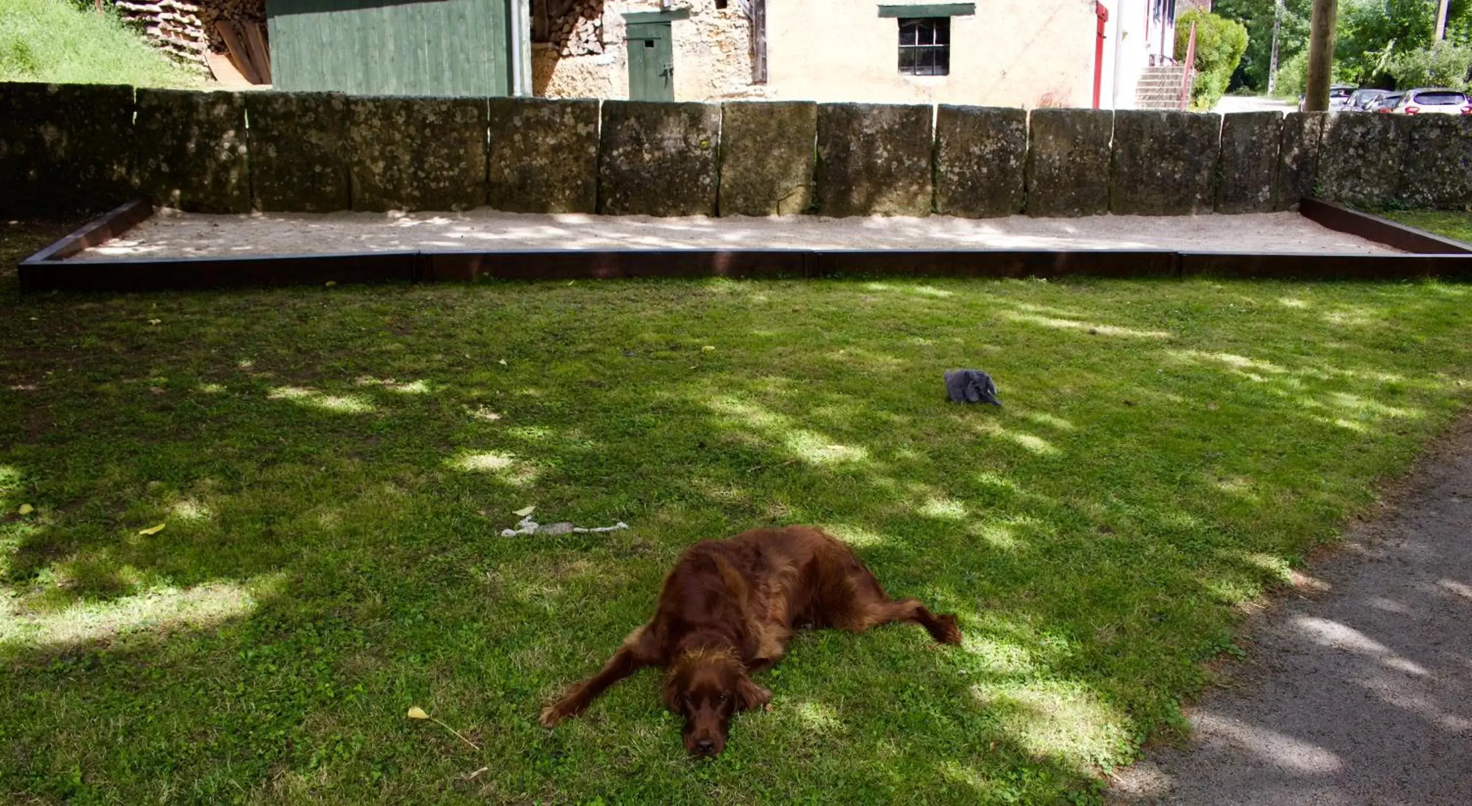 Pets in Au lavoir du Serein "Les Écureuils"