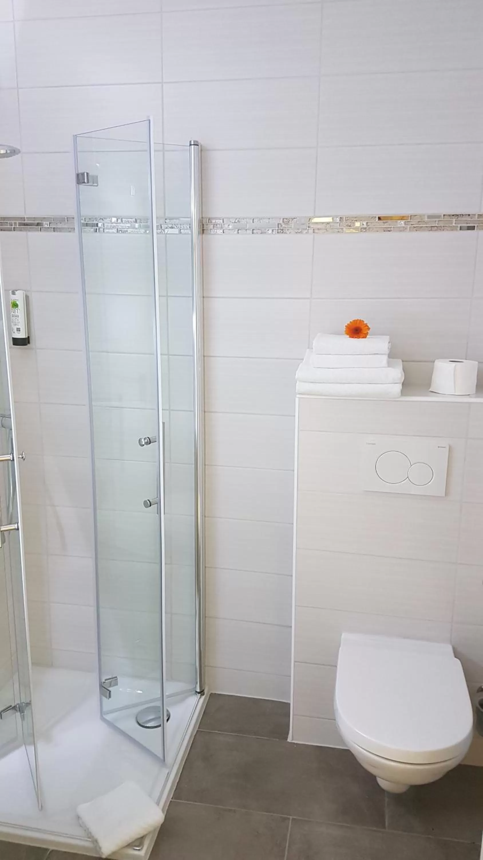 Toilet in Hotel & Restaurant "Deutscher Kaiser"