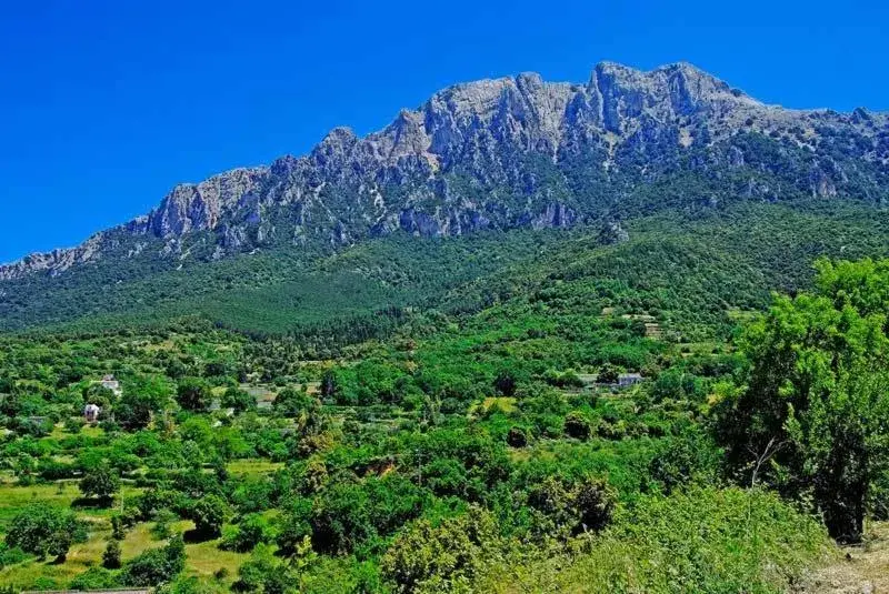 Natural Landscape in S'Enis Monte Maccione