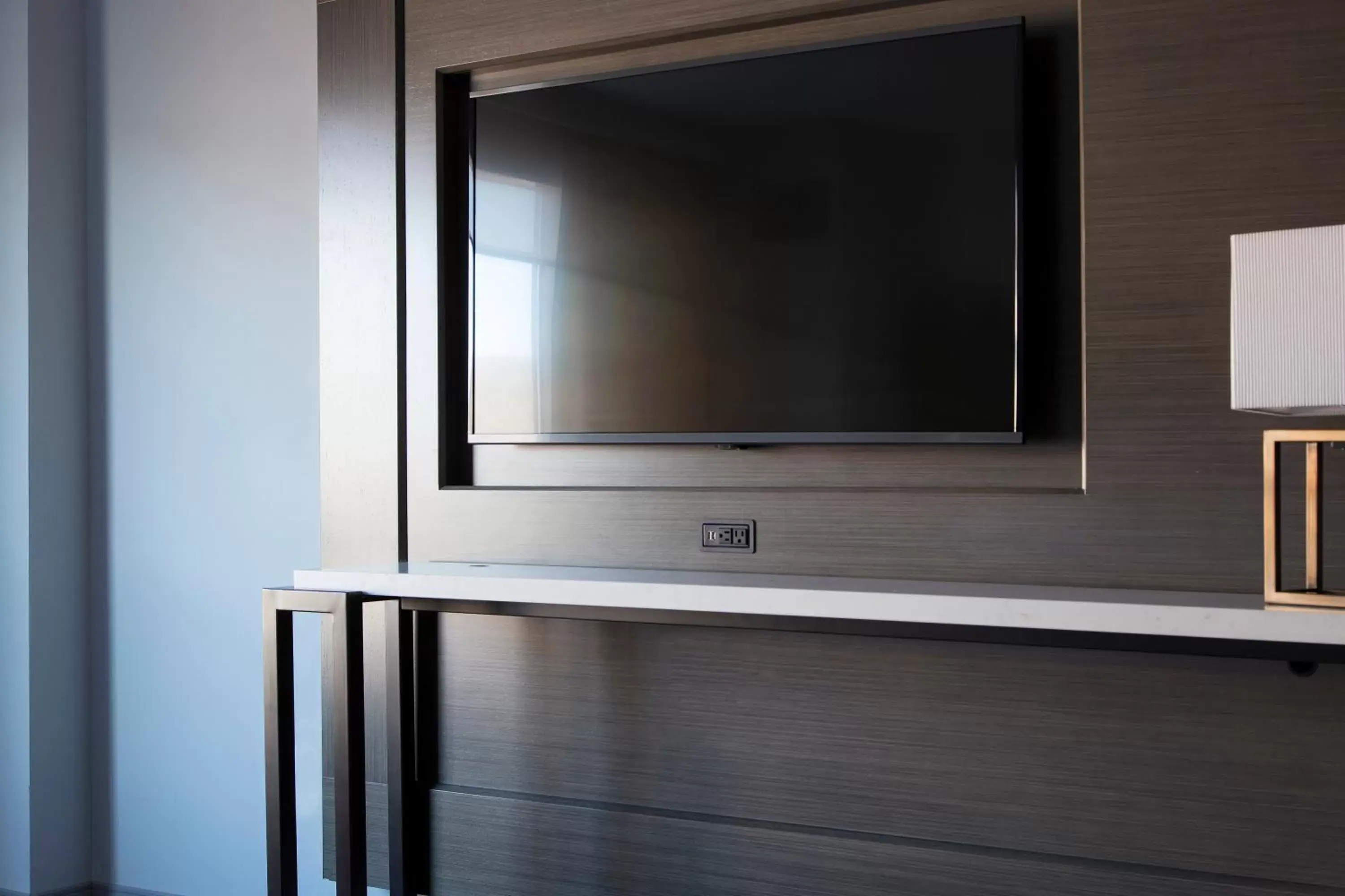 TV and multimedia, Bathroom in Franklin Marriott Cool Springs