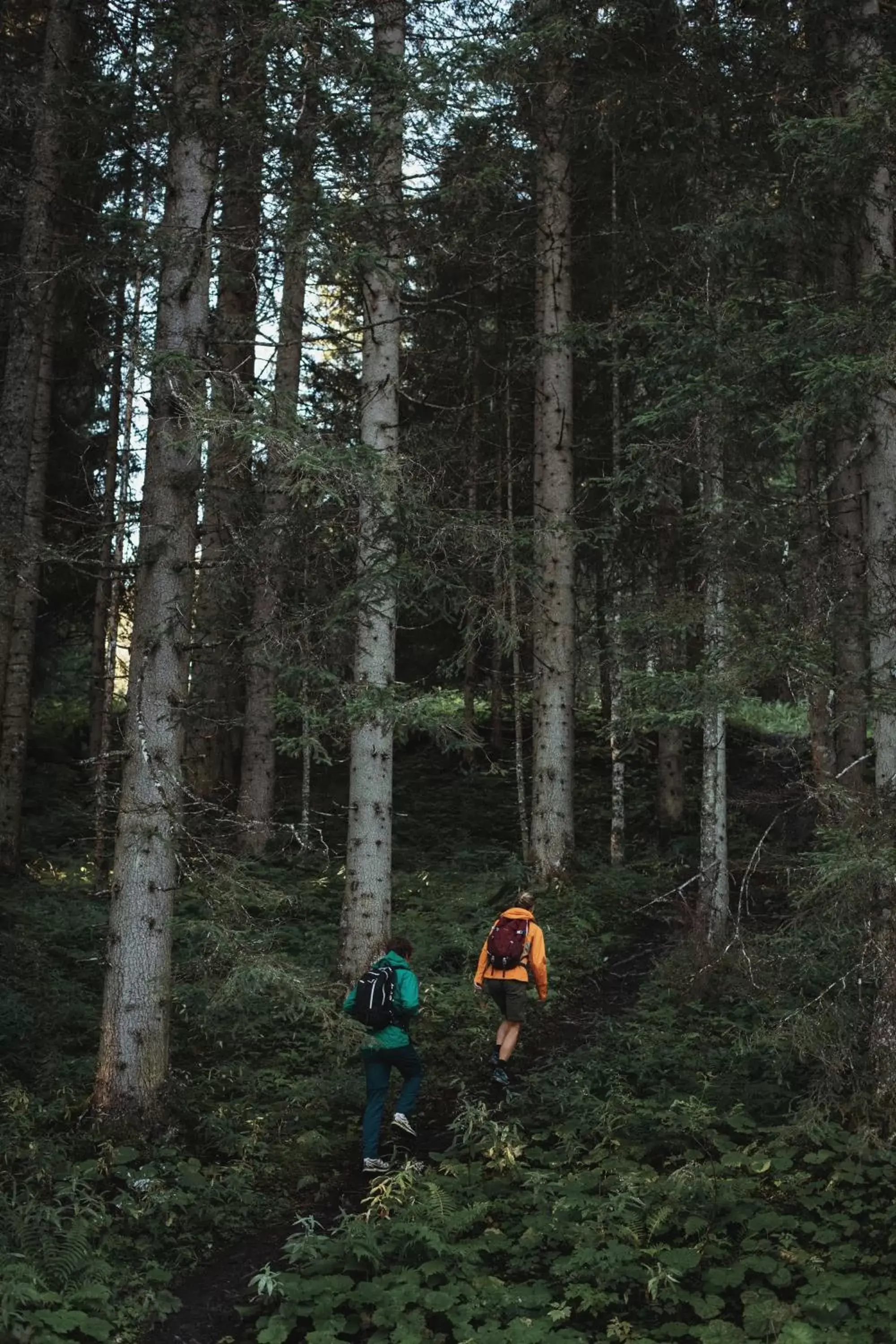 Hiking in Hotel Tauernhof