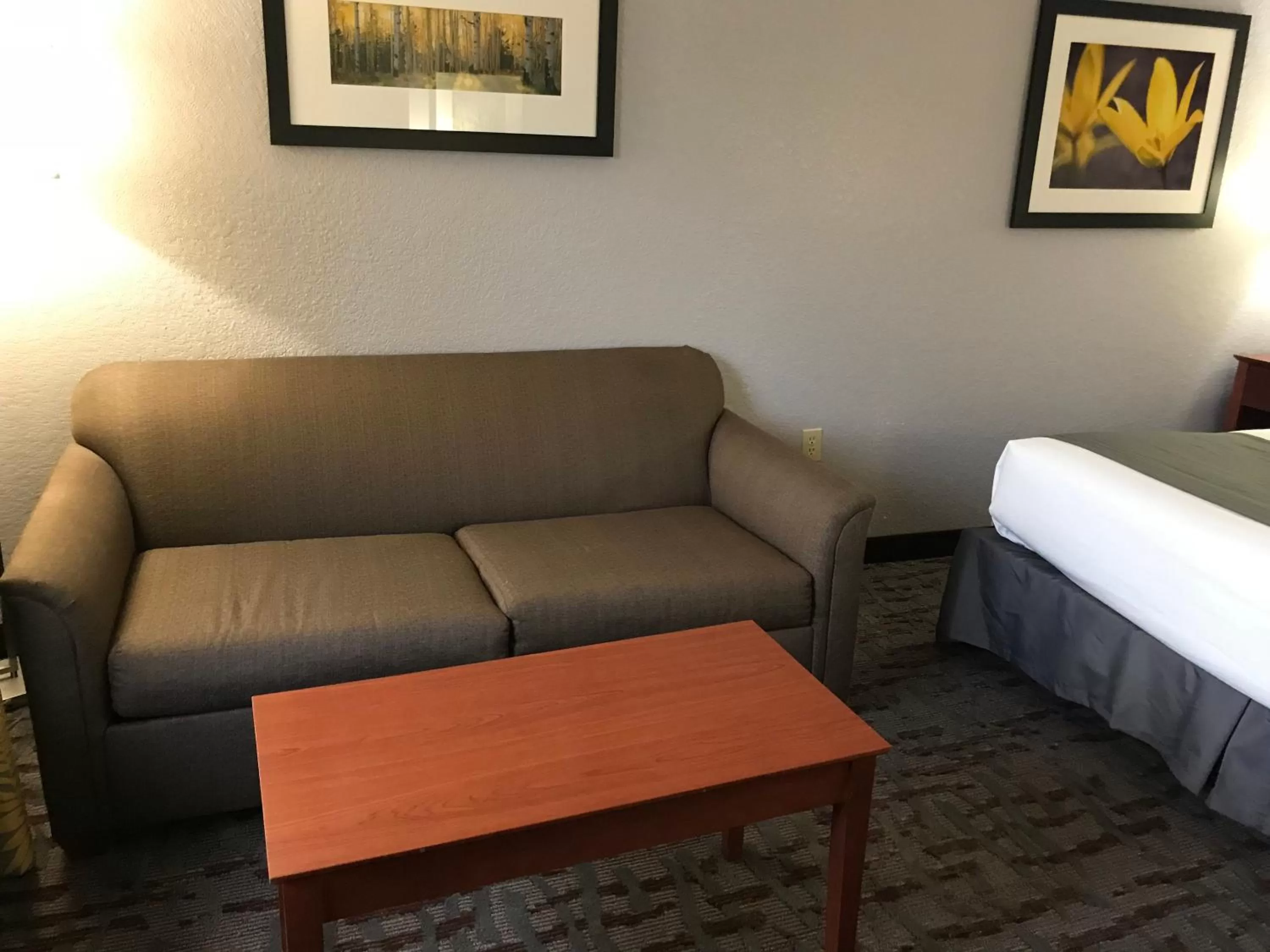 Guests, Bed in AmericInn by Wyndham Ankeny/Des Moines