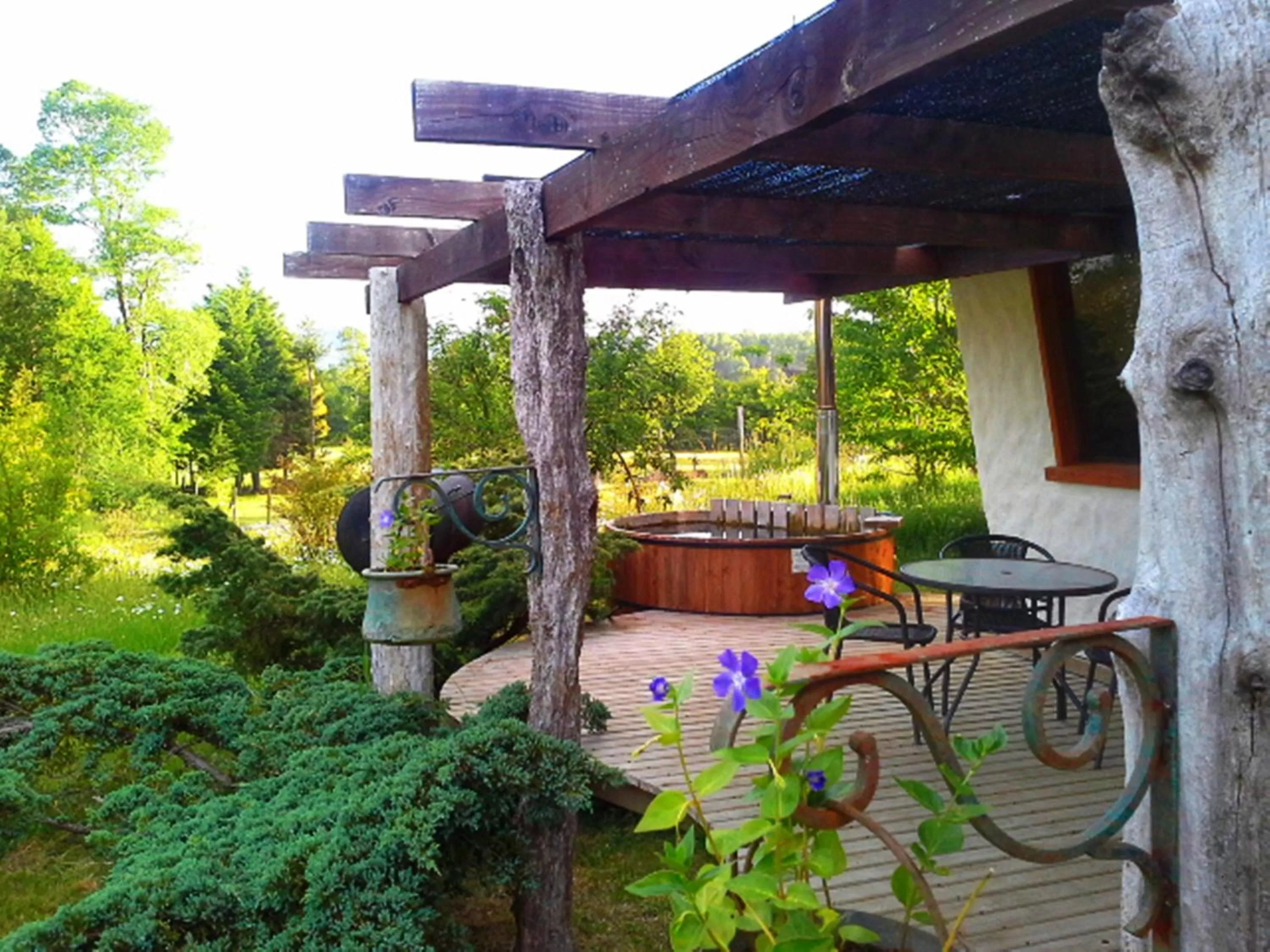 Balcony/Terrace in Hotel Salto del Carileufu
