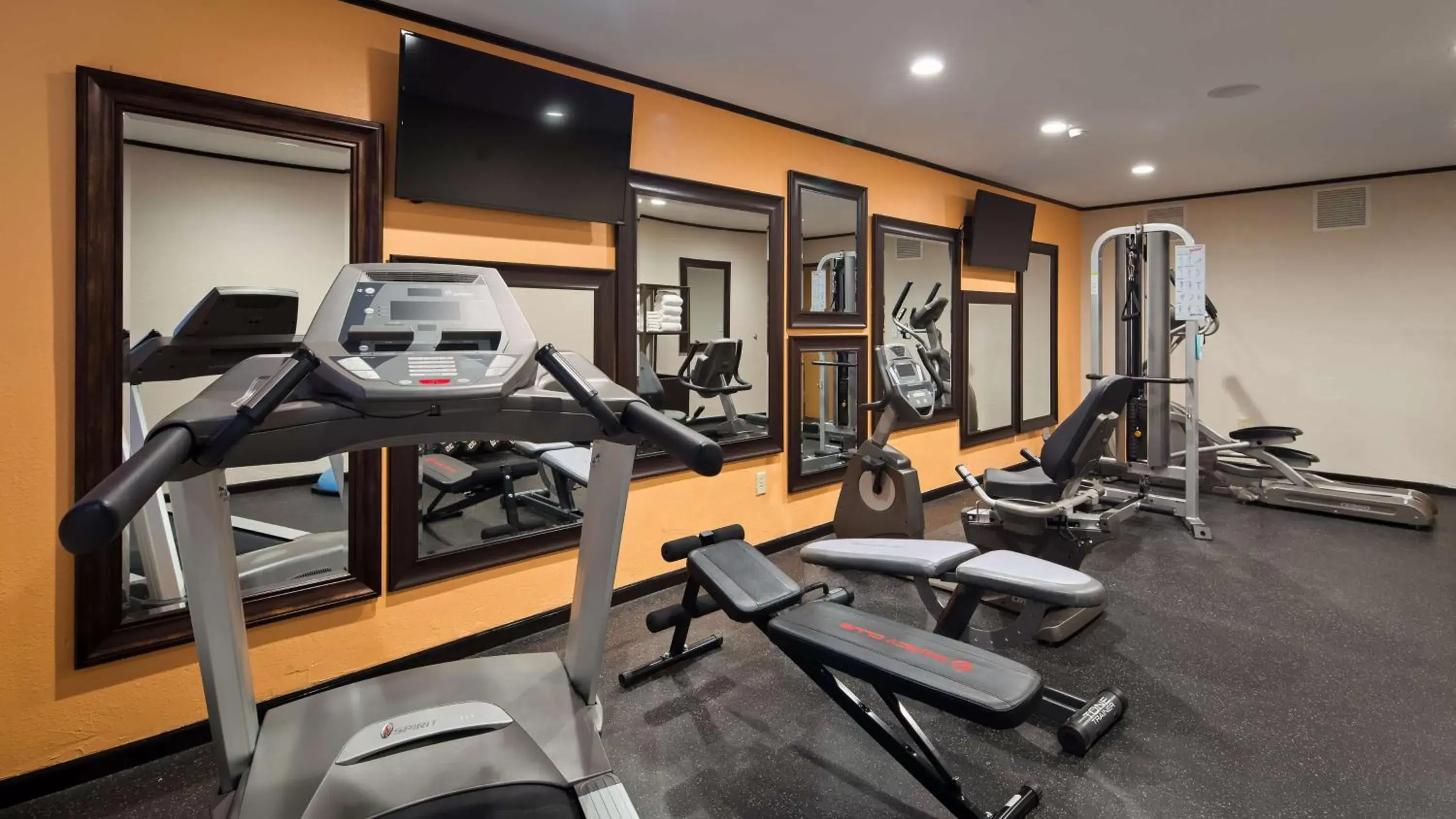 Fitness centre/facilities, Fitness Center/Facilities in Best Western Plus Holland Inn & Suites