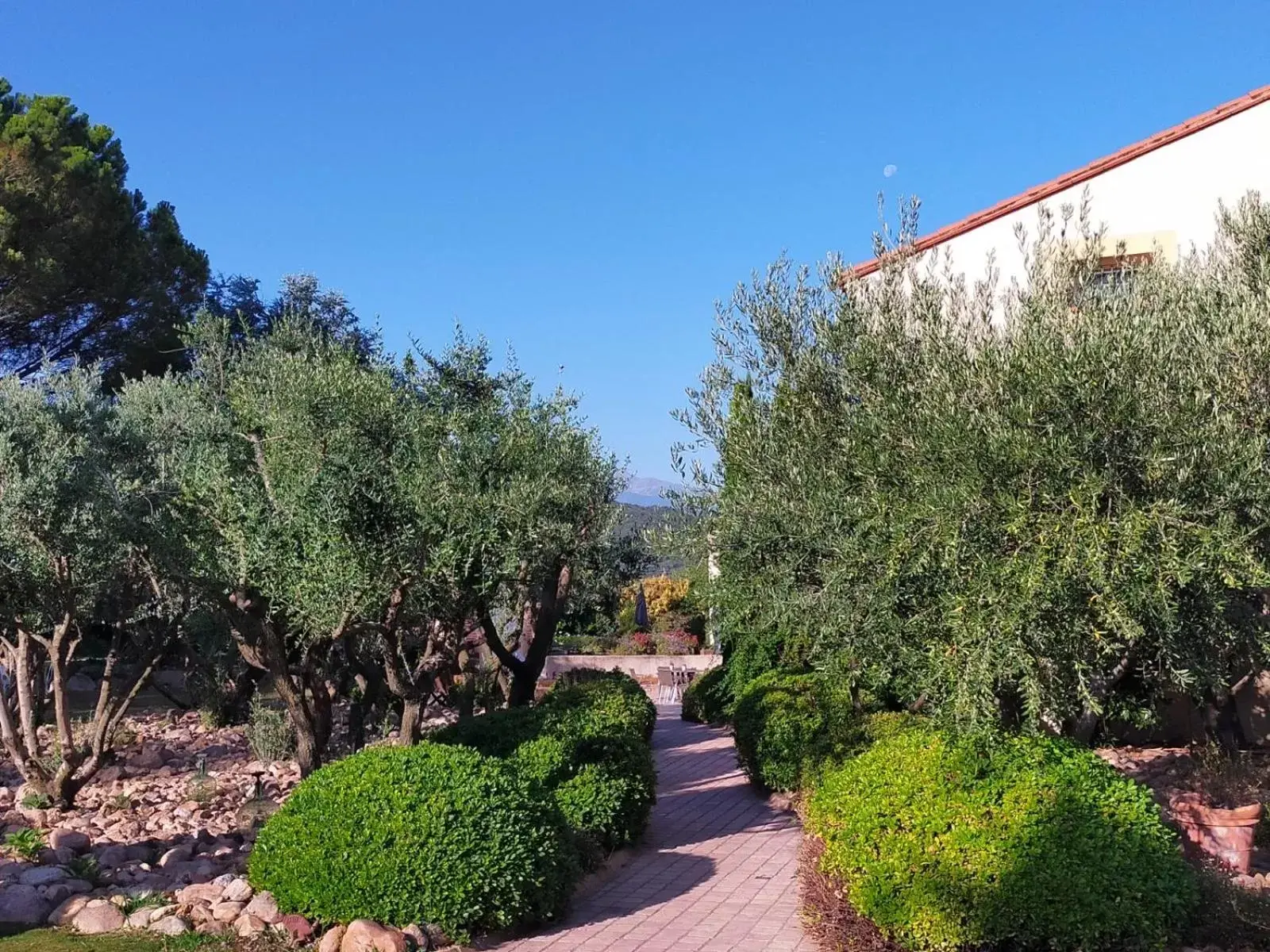 Garden in MAS TRAMONTANE chambres d'hôtes avec parc arboré & piscine