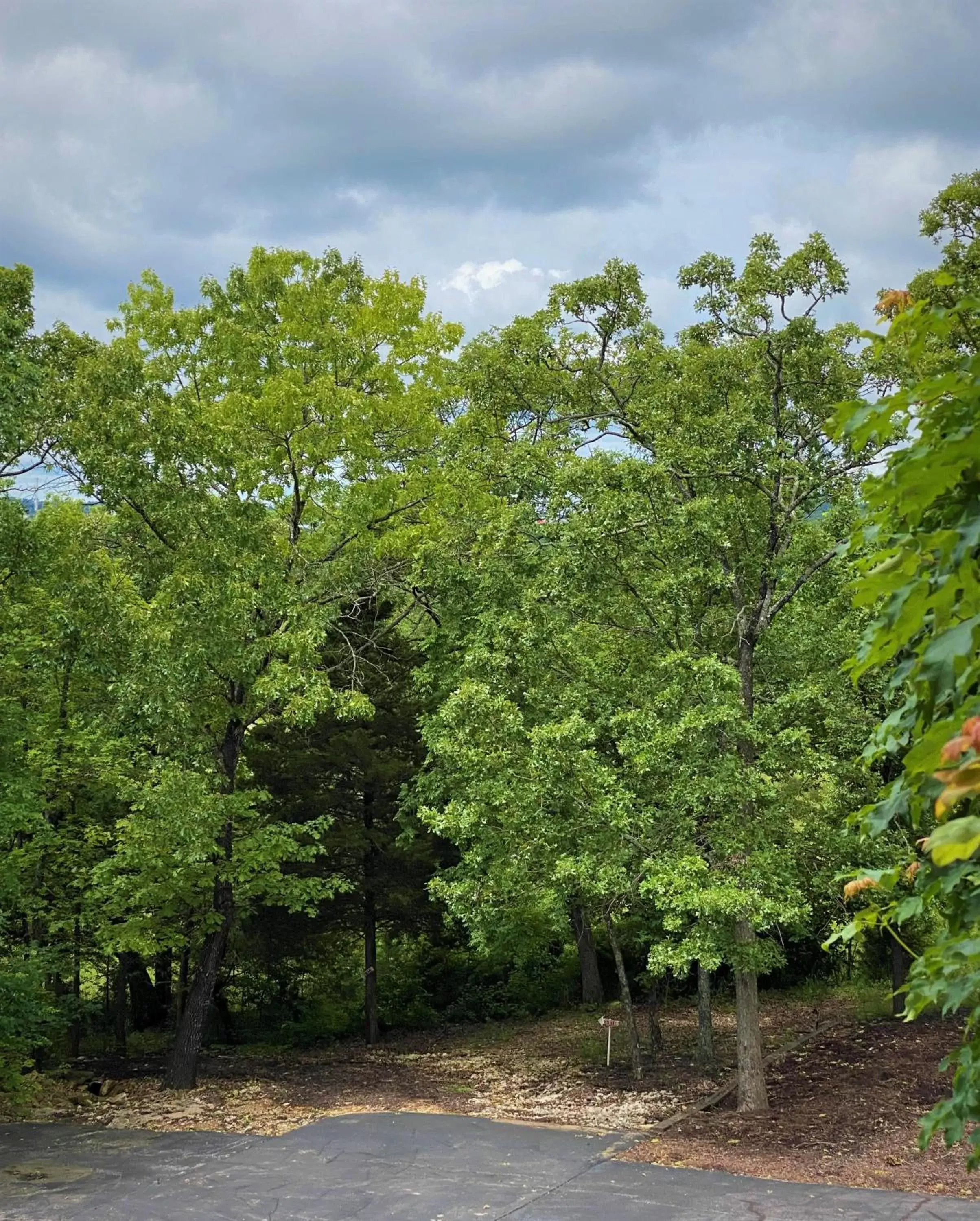 The Park at Foxborough