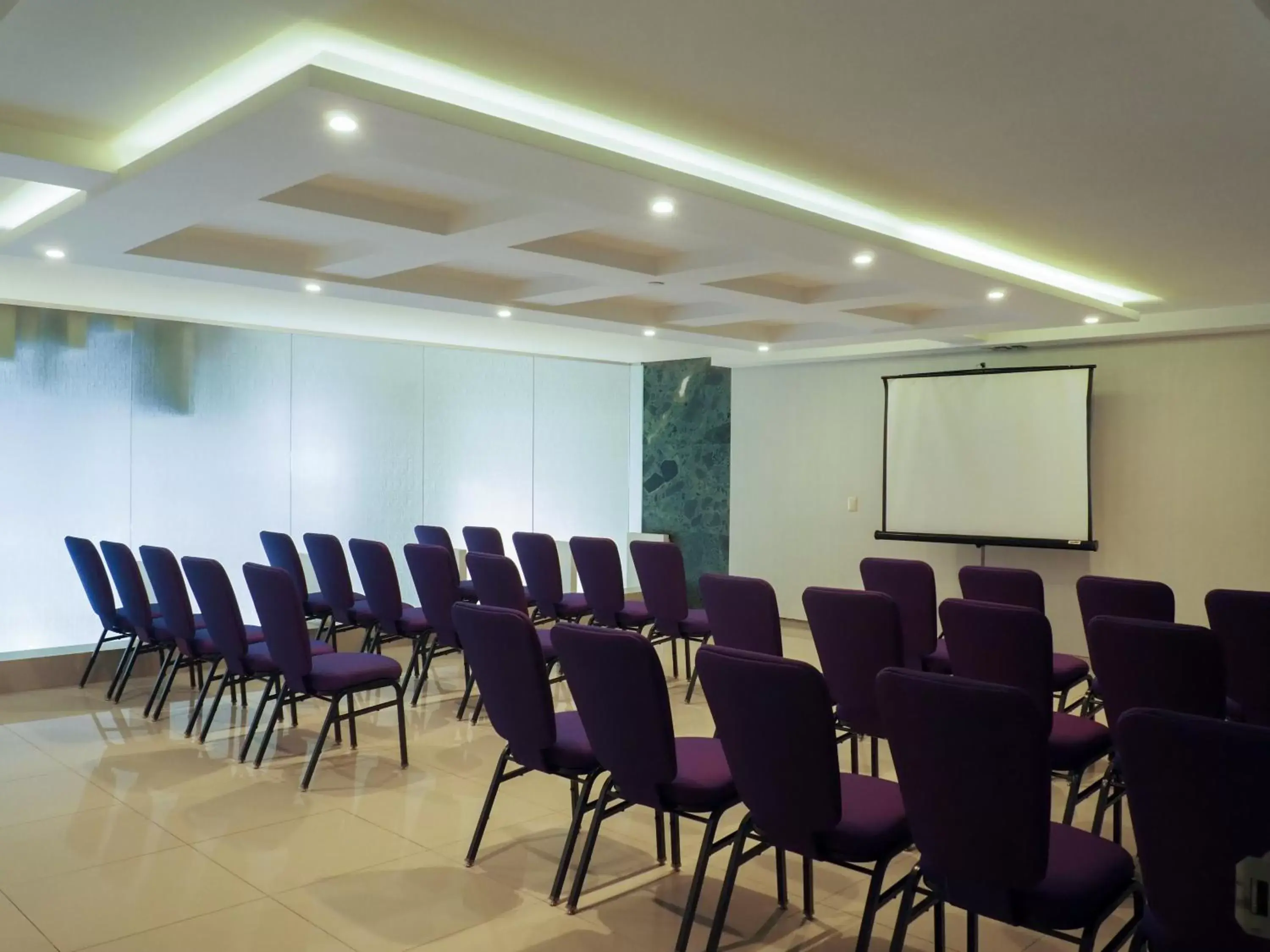 Meeting/conference room in Hotel Marbella