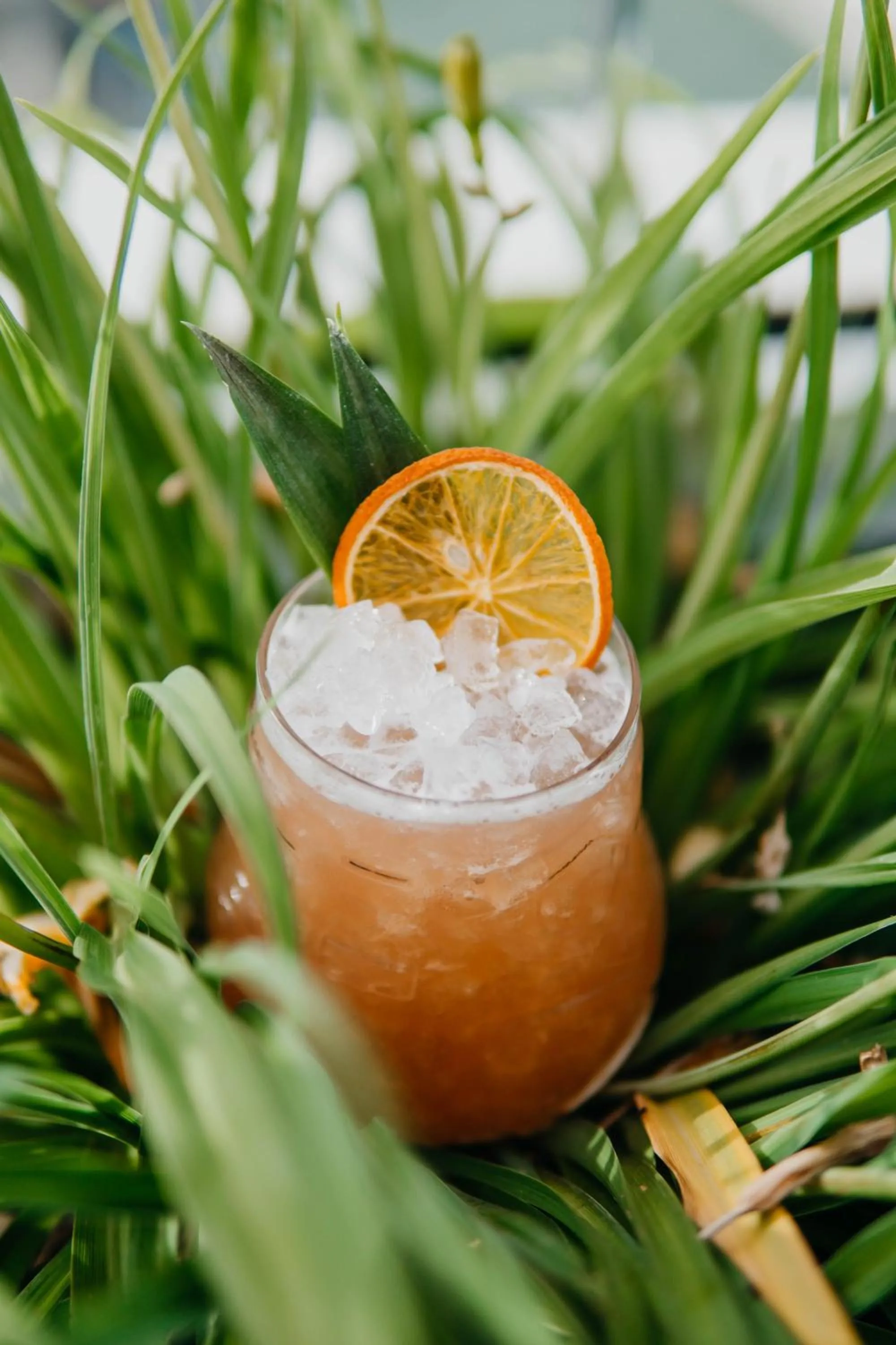 Restaurant/places to eat in J44 Lifestyle Hotel