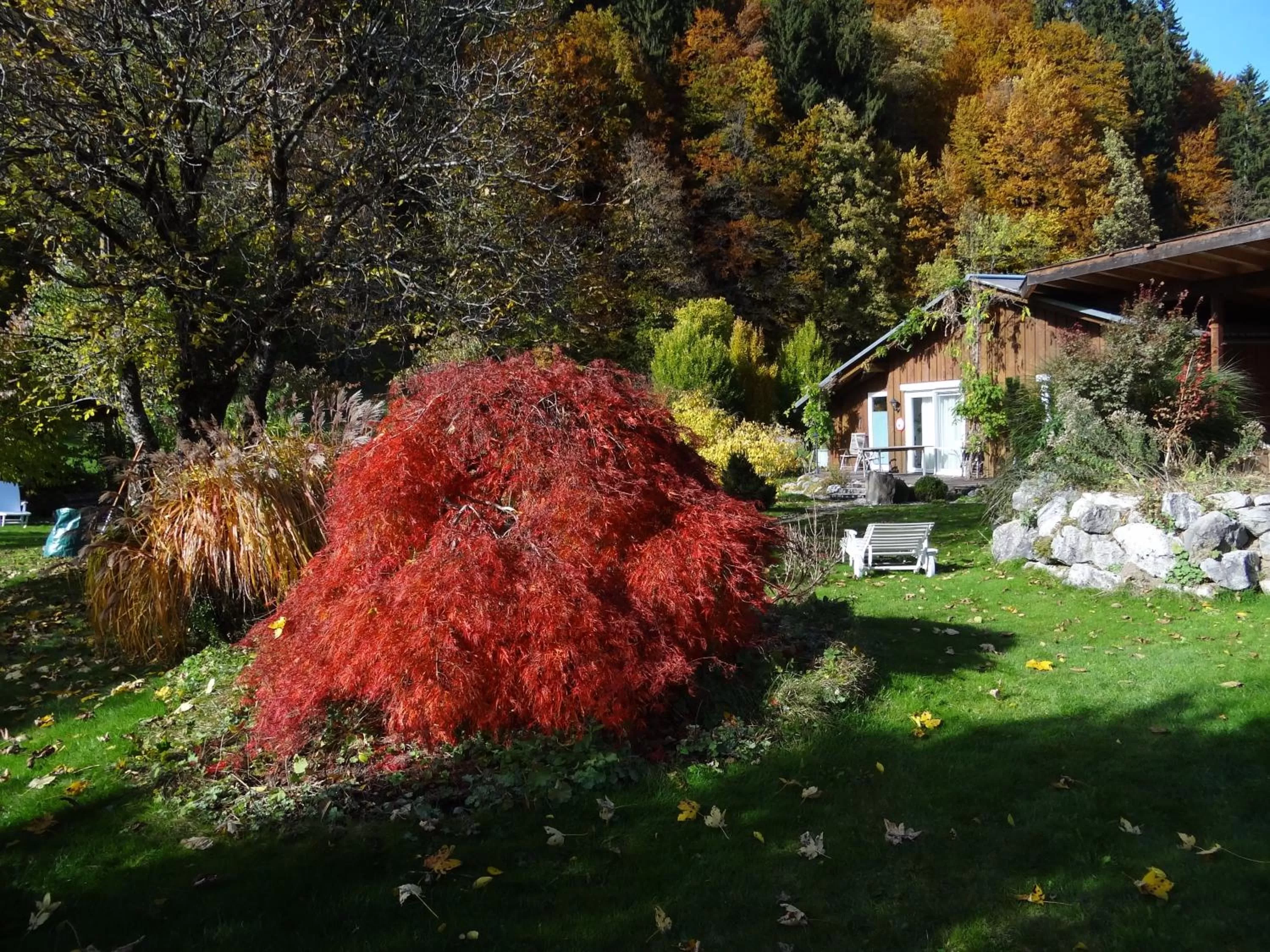 Garden in Gästehaus Bühler