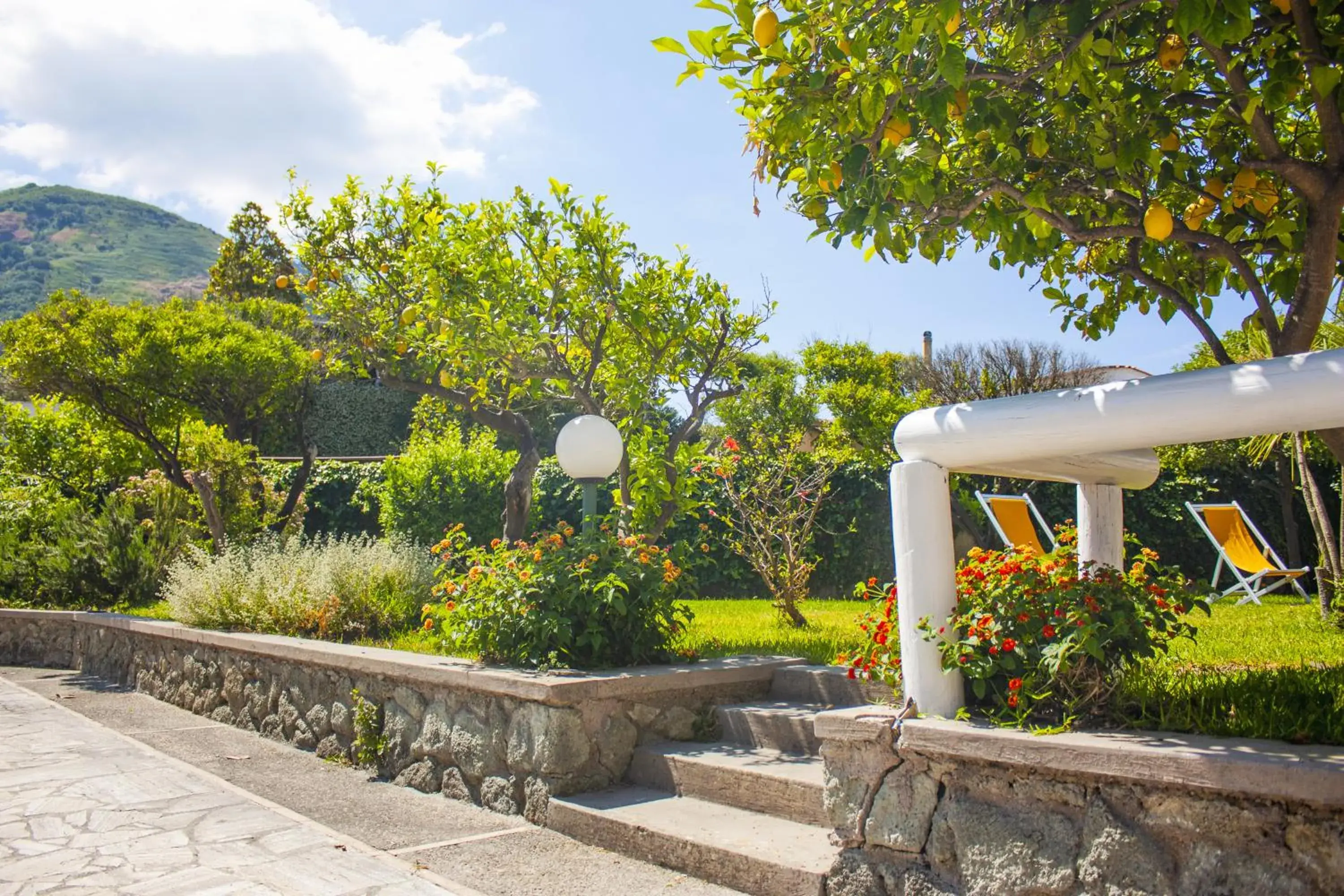 Garden in Hotel Parco Delle Agavi