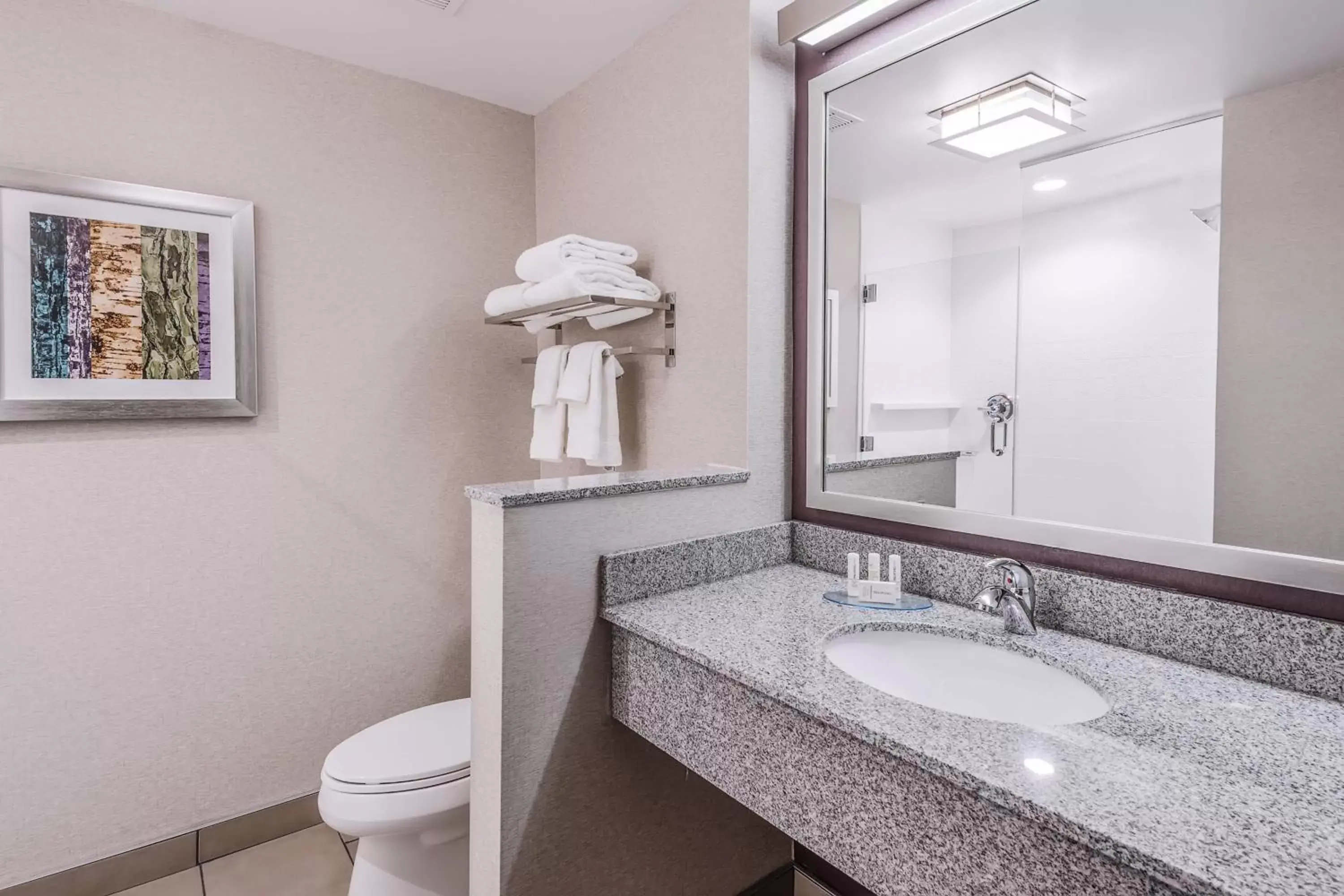Bathroom in Fairfield Inn & Suites by Marriott Chicago Schaumburg