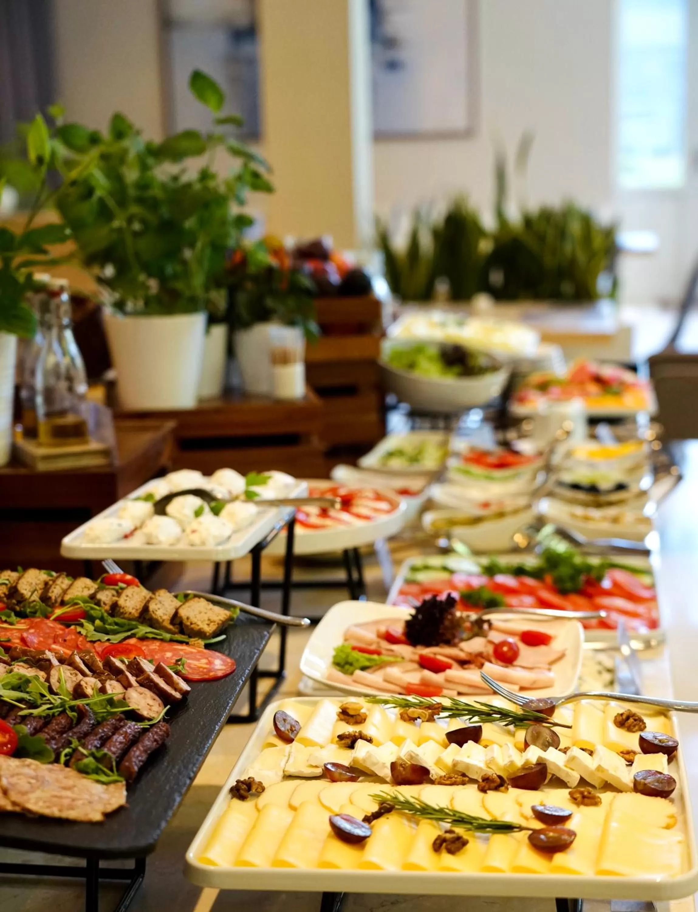 Hotel Sokół Wellness & SPA