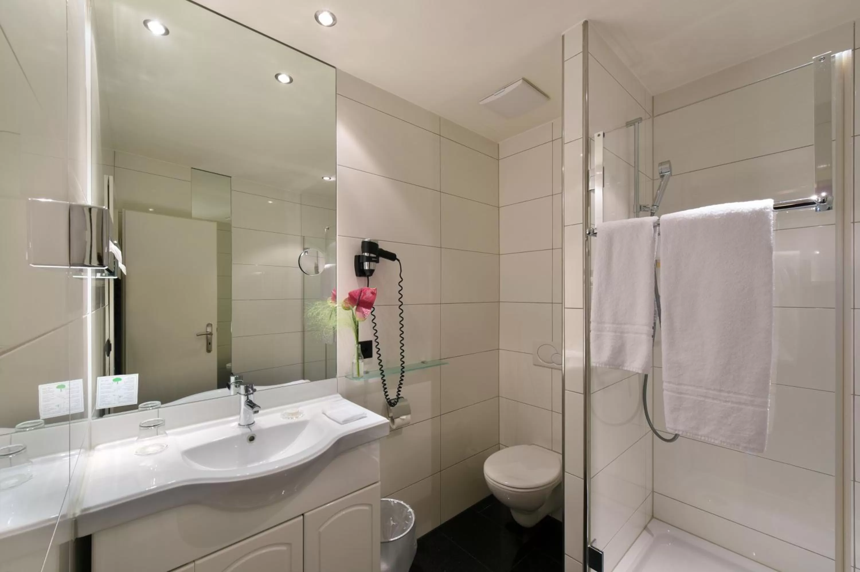 Shower, Bathroom in Apart Hotel Amadeo