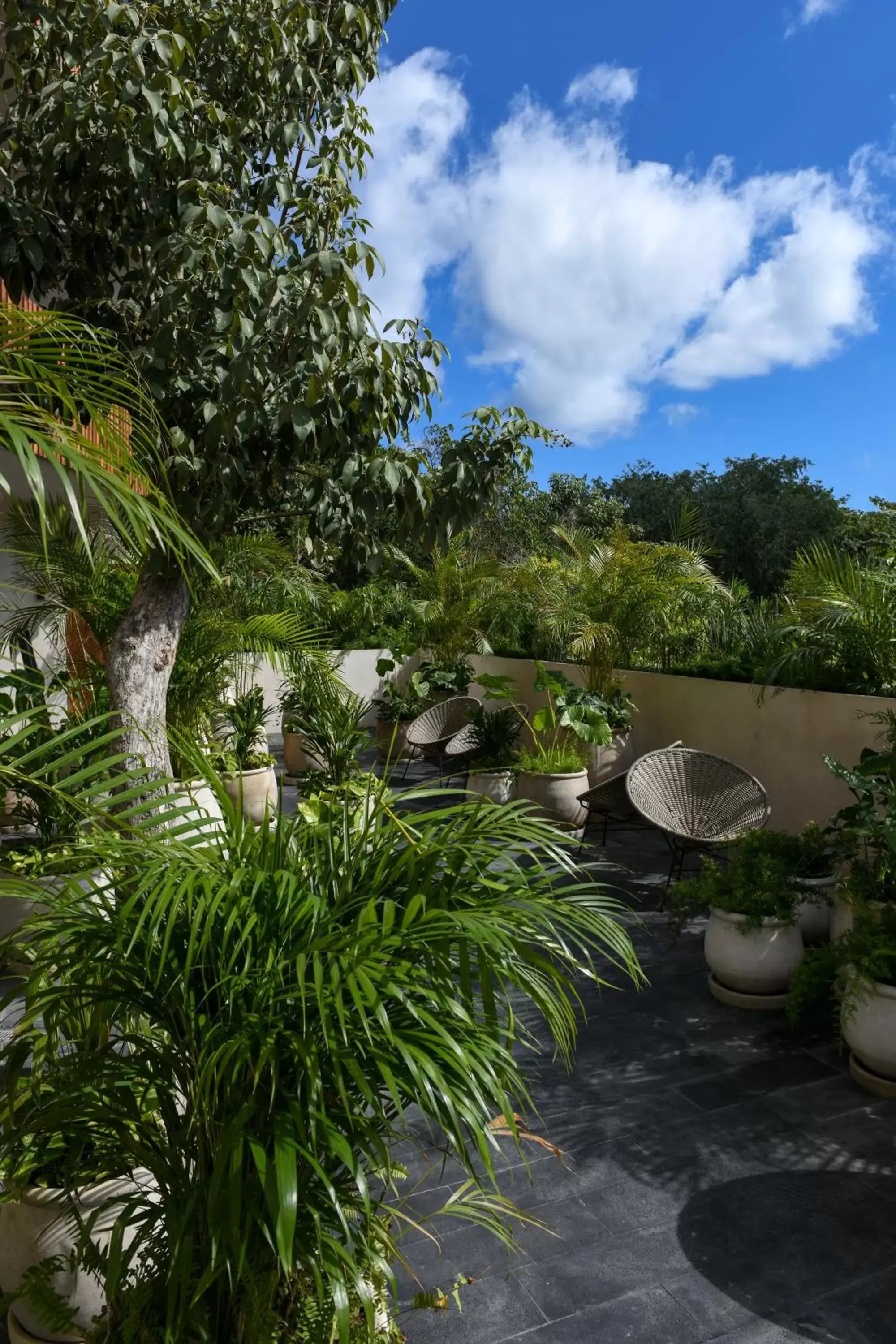 Garden in Casa Agape Hotel Tulum & Vegan Restaurant with Beach Club Access