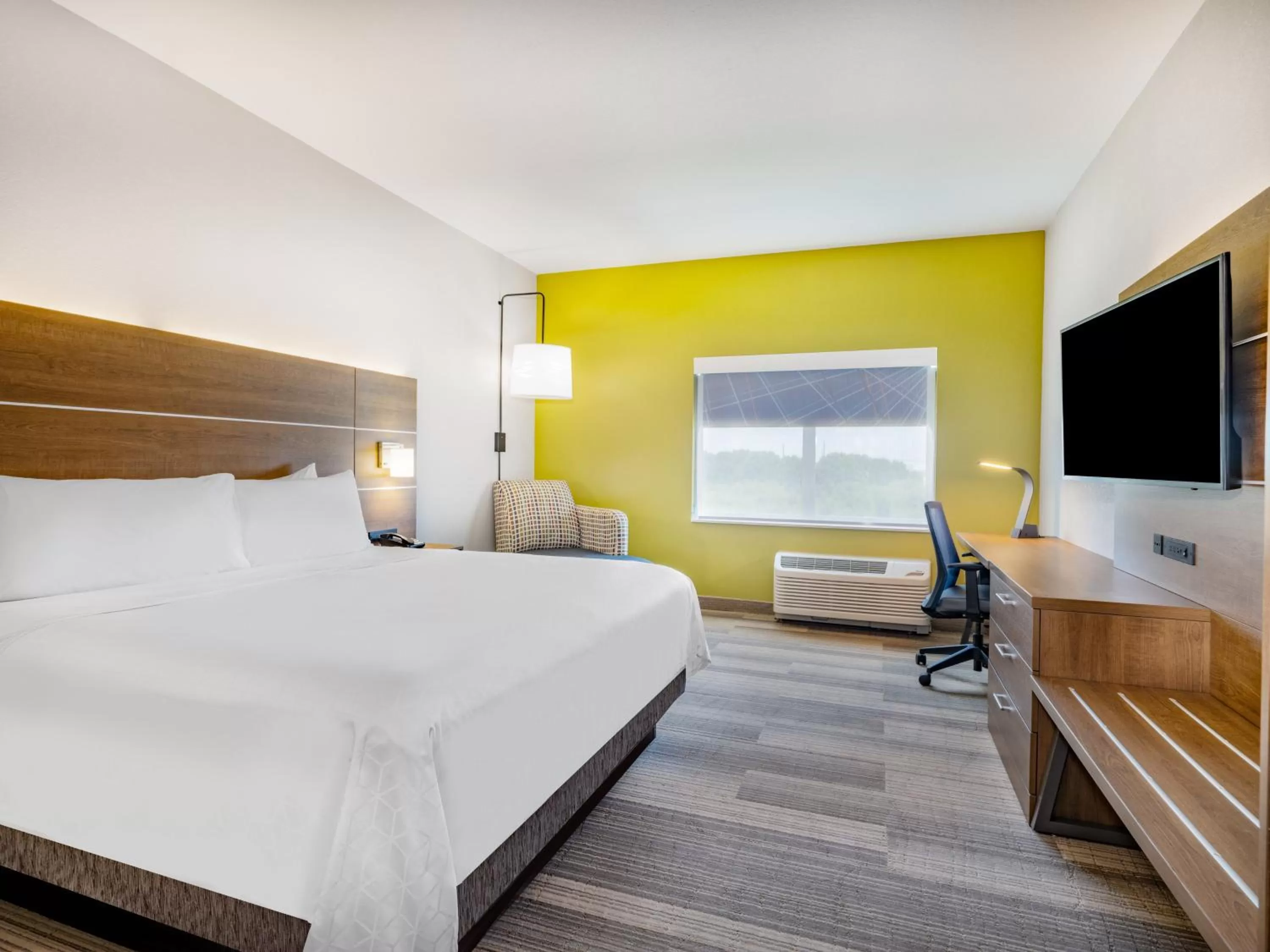 King Room - Hearing Accessible/Non-Smoking  in Holiday Inn Express & Suites - Ruskin, an IHG Hotel