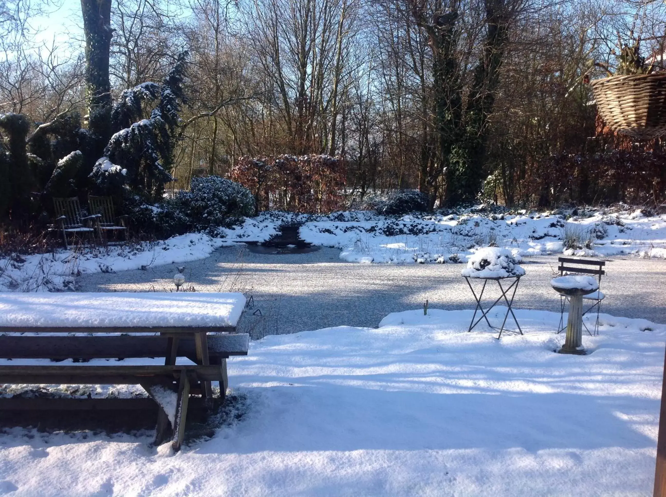 View (from property/room), Winter in B&B Houtstee