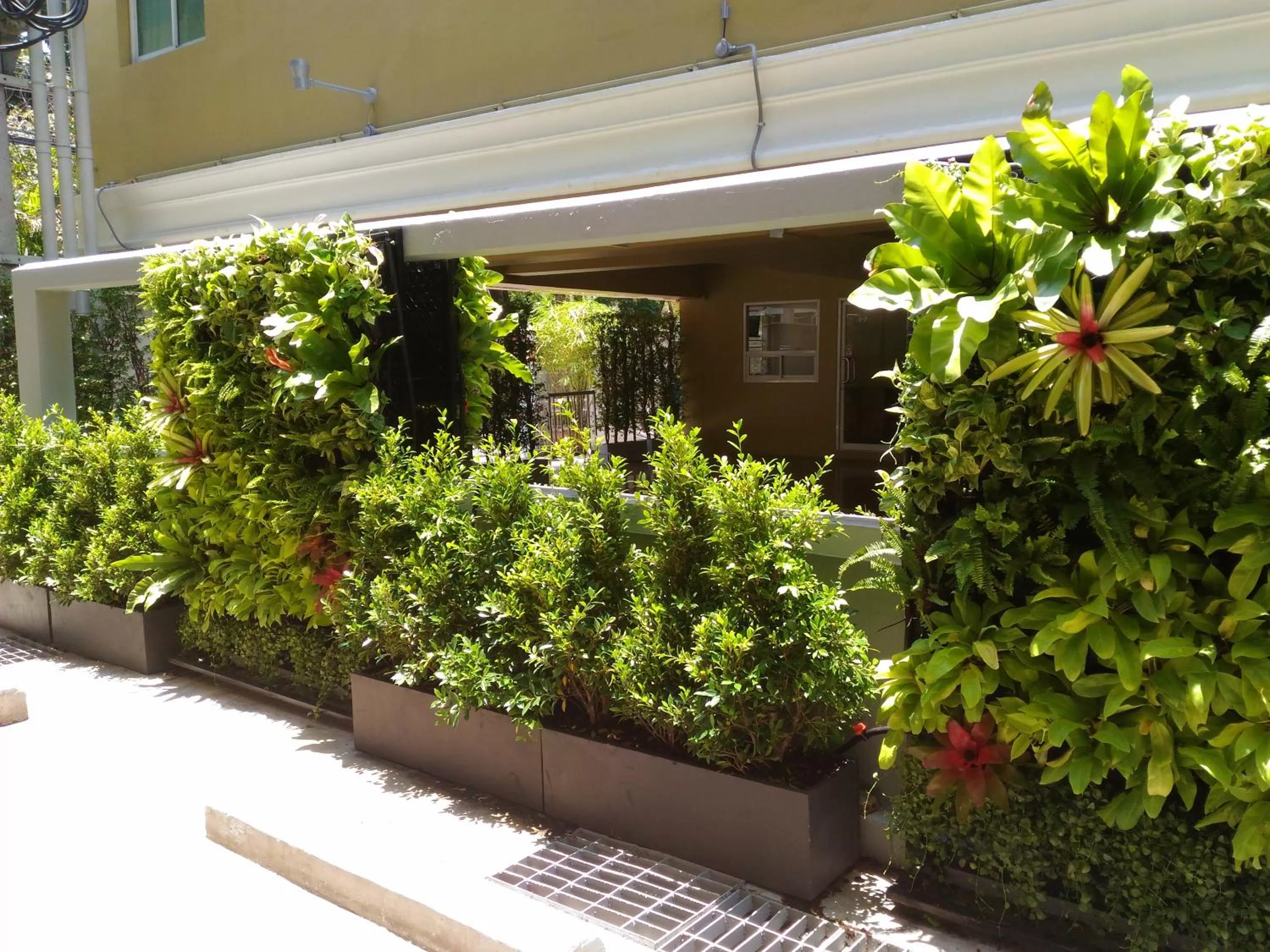 Garden in Le Tada Residence