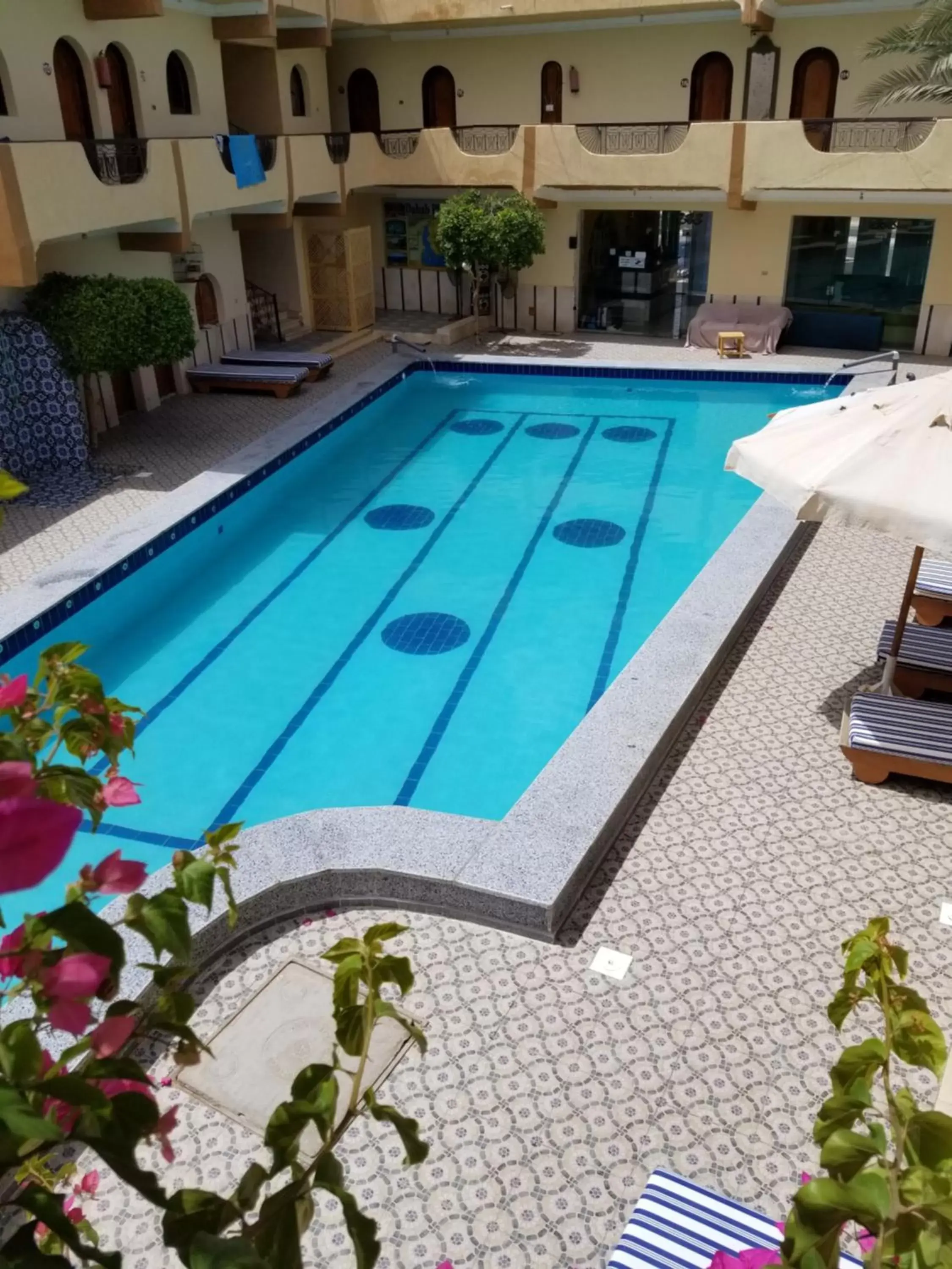 Pool view, Swimming Pool in Dahab Plaza Hotel
