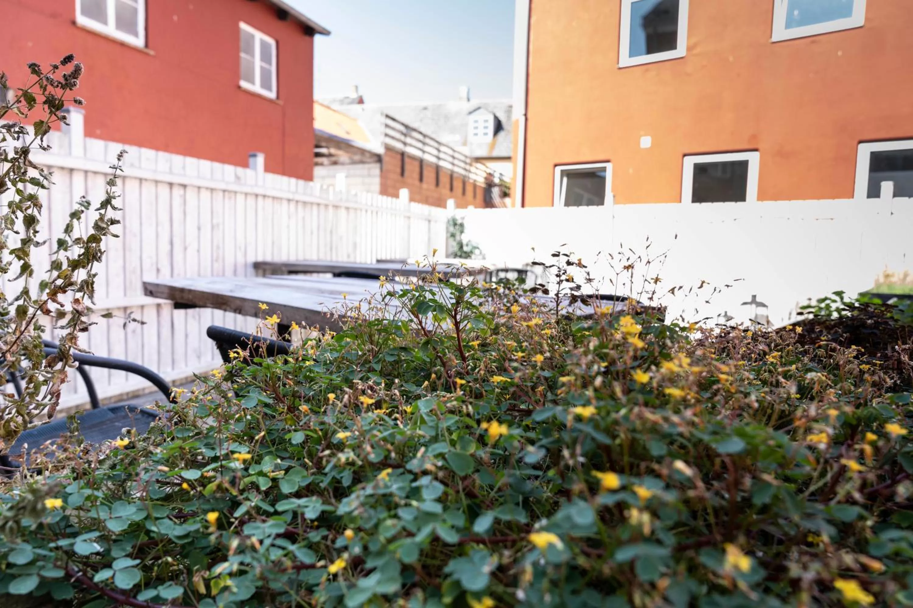 Garden in Hotel Harmonien