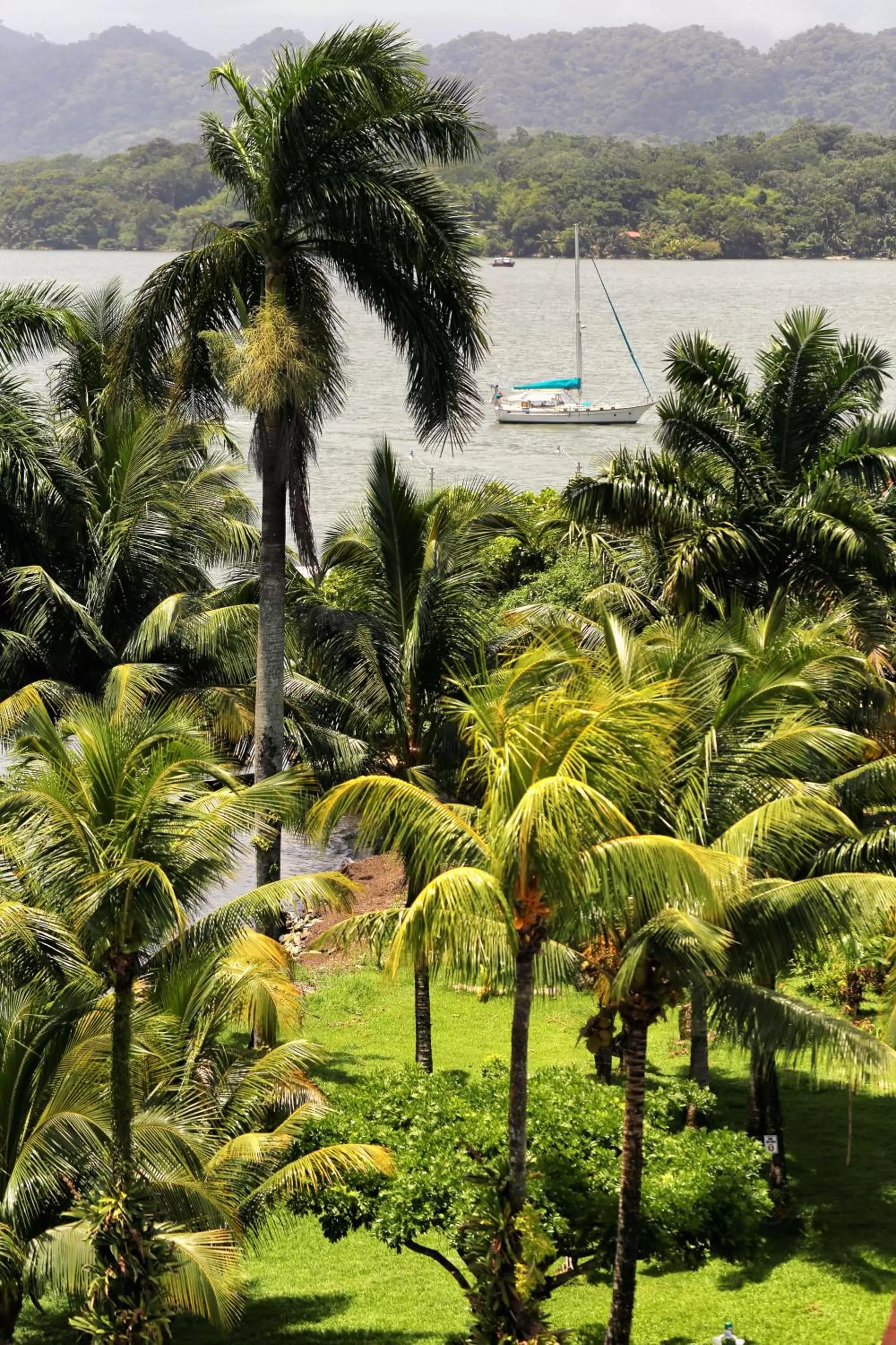 Garden in Villa Caribe